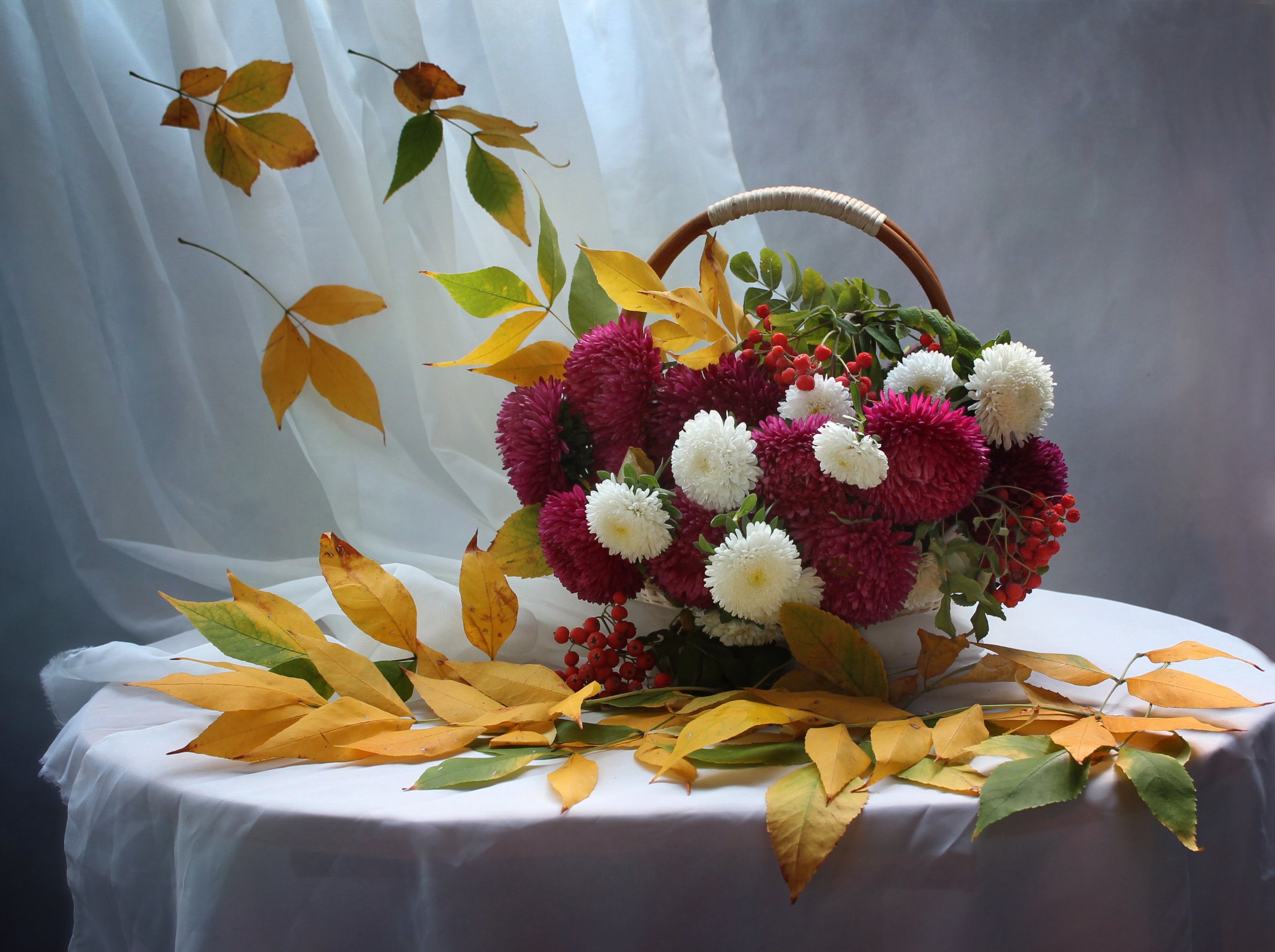 осень, натюрморт, цветы, листья, астры, Ковалева Светлана