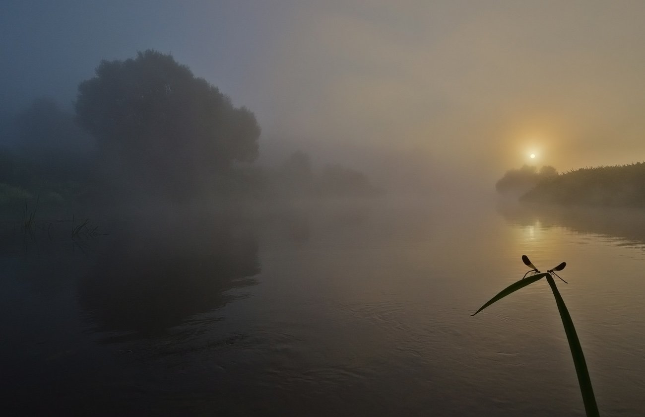 утро, рассвет, река, упа, якшино, пейзаж, природа, Михаил Агеев