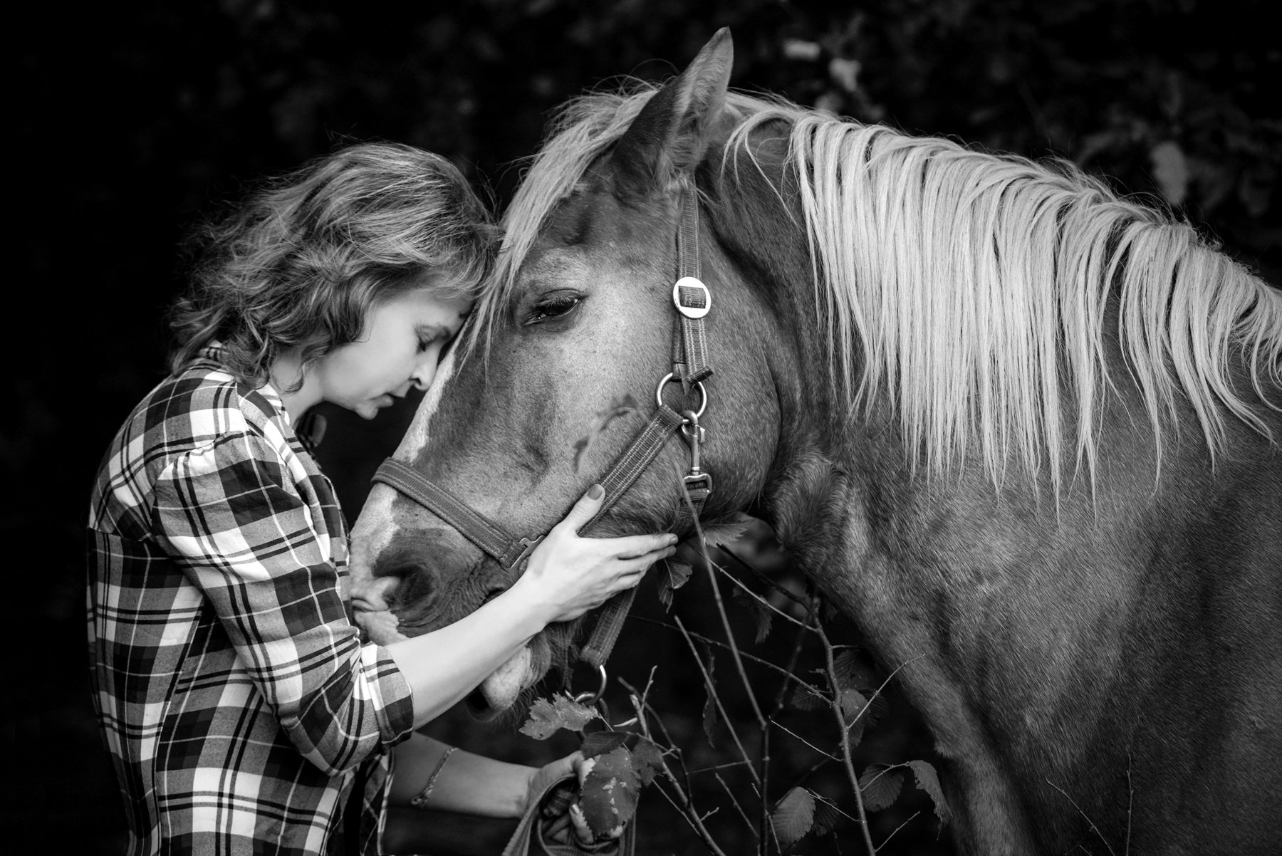 девушка лошадь лес грусть природа кони рубаха клетка расставание, Игорь Сидорук