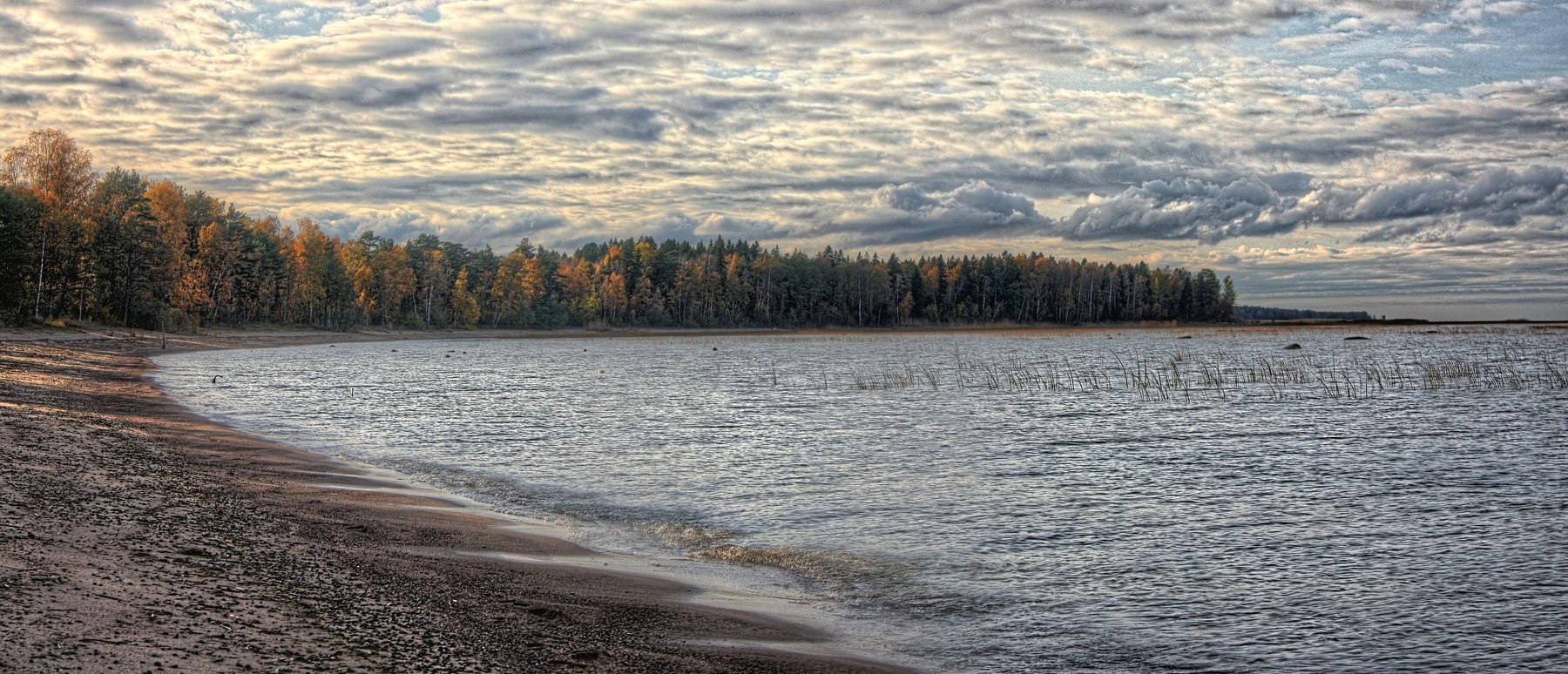 осень, панорама, вода, песок, облака, деревья, Vladimir Kedrov