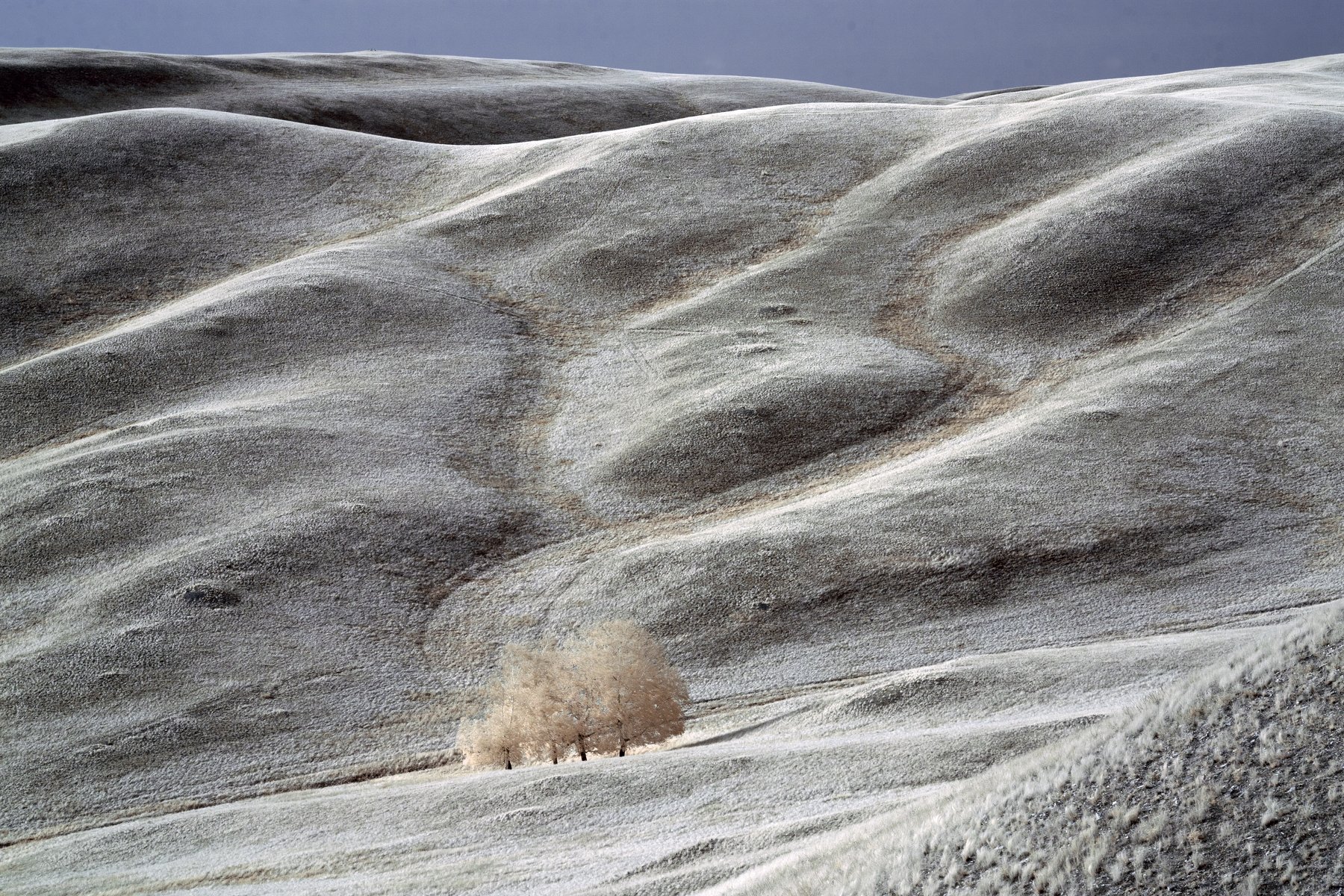 infrared,landscape,Oleg_Grachev,Олег_Грачёв,пейзаж,инфракрасный, фильтр,, Олег Грачёв