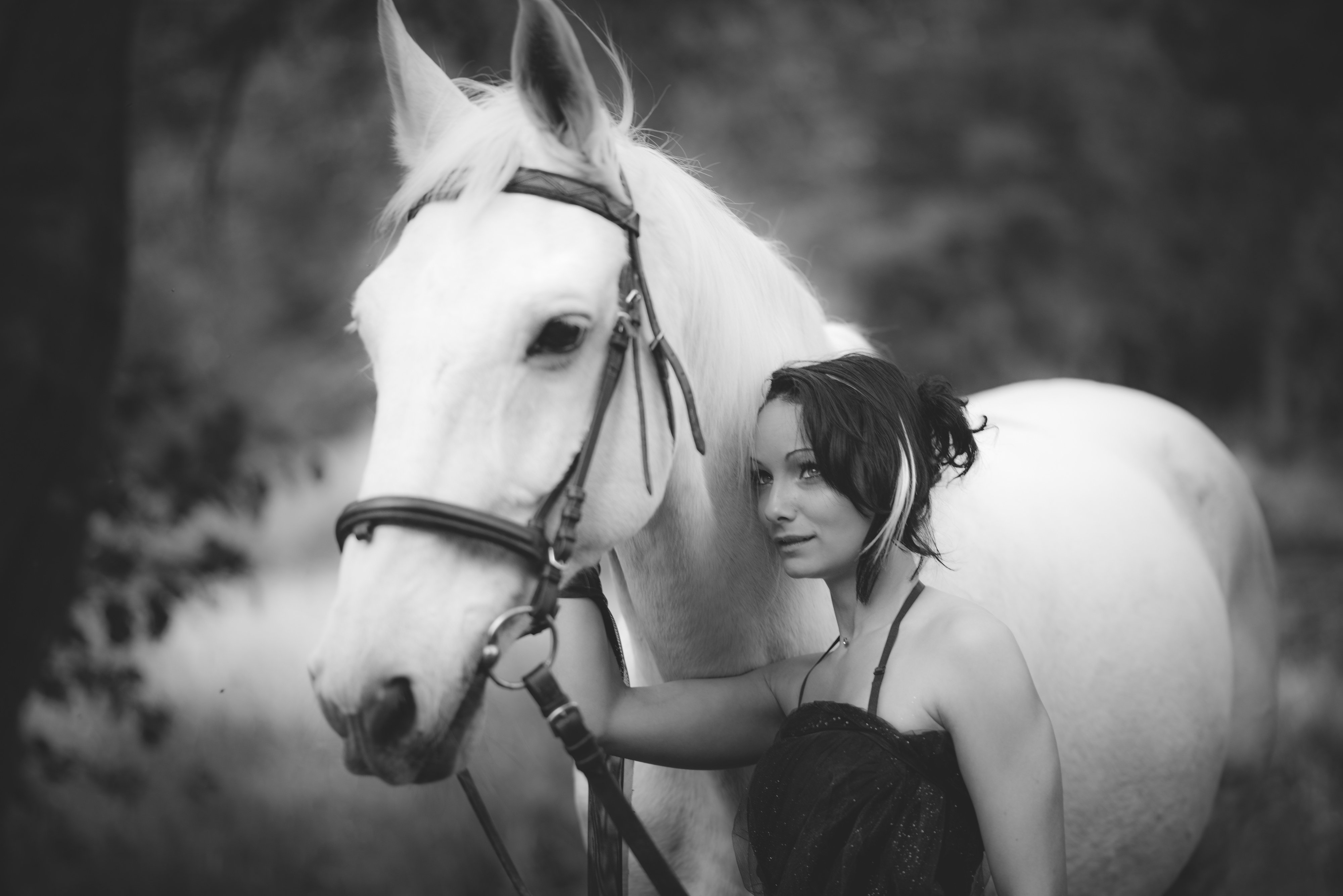 horse, portrait, white, girl, Jiri Kuchar