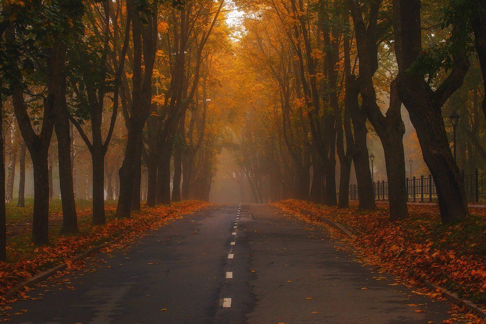 осень, нарва, пейзаж, ключенков, цвет, атмосфера, Aleksandr Kljuchenkow