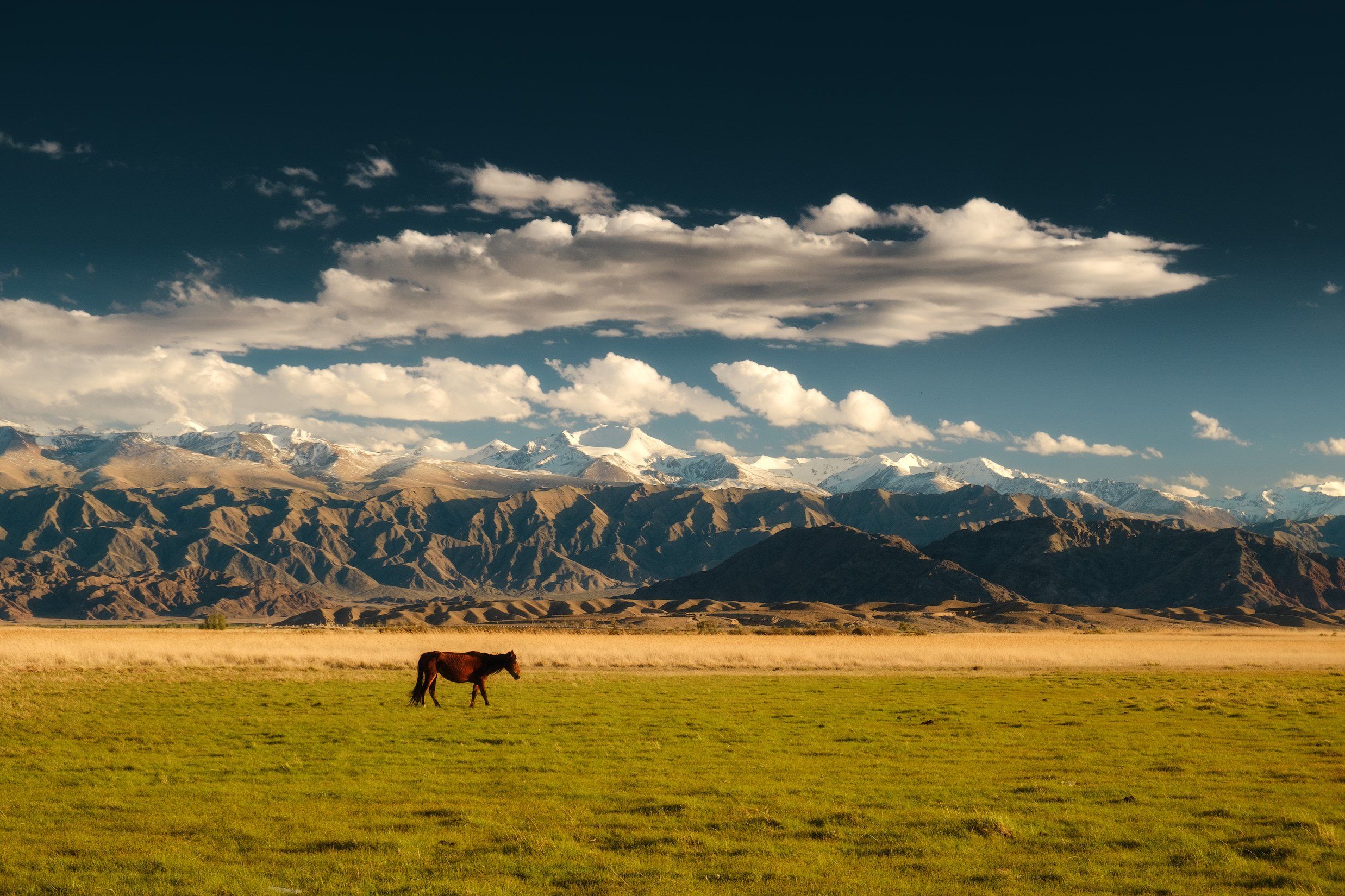 киргизия, кыргызстан, азия, горы, луг, скалы, пейзаж, весна, ущелье, джайлоо, пастбище, конь, лошадь, Оборотов Алексей