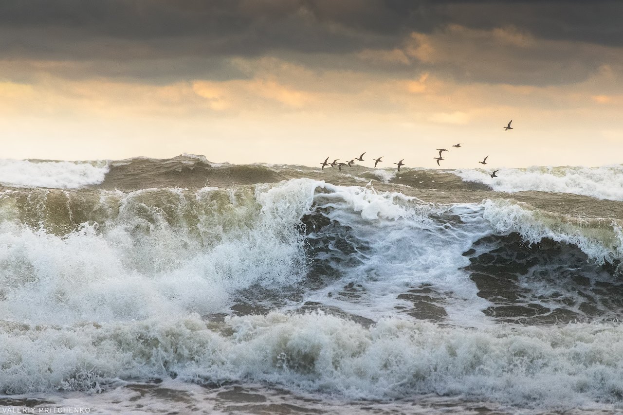 море, шторм, природа, пейзаж, sea, seascape, nature, Валерий Притченко