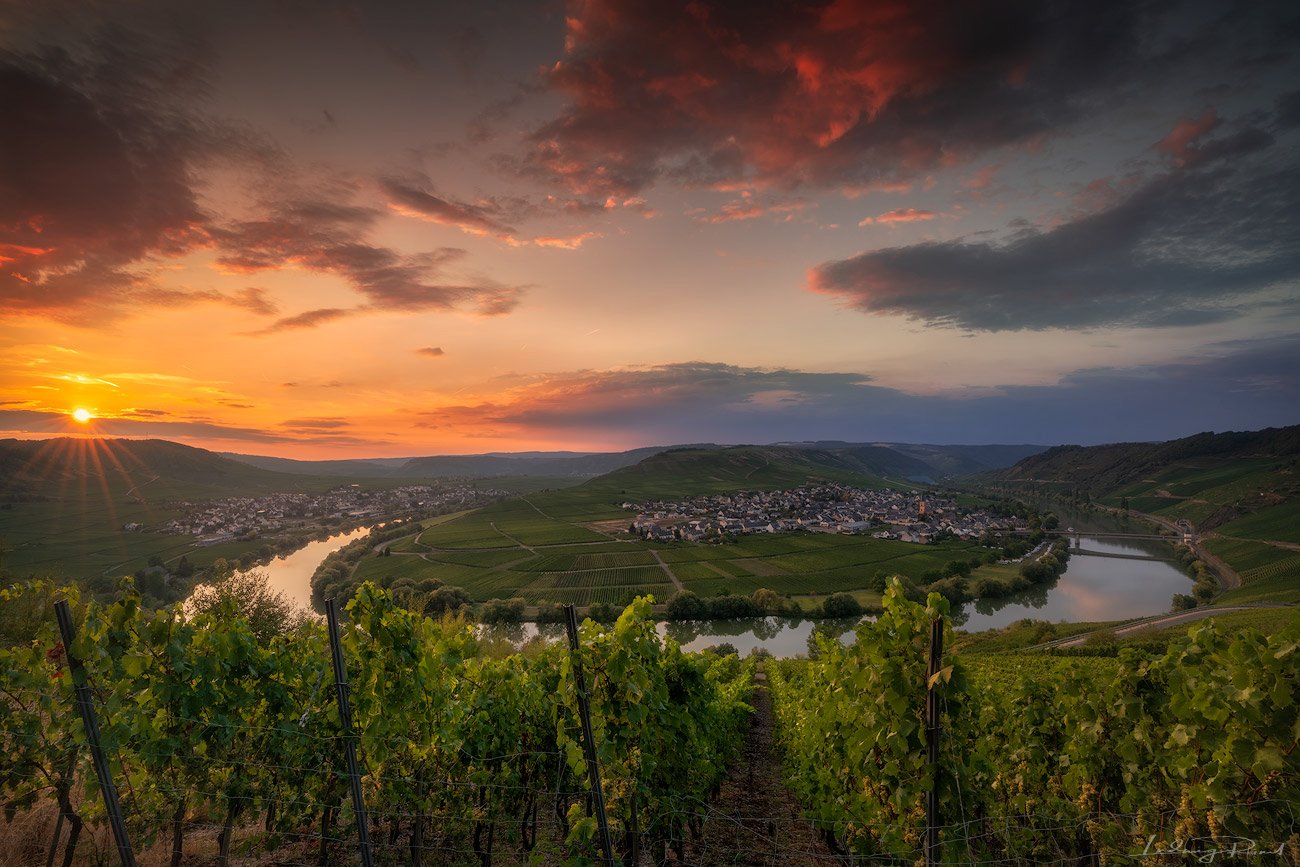 bow tie, bushes, church, evening, germany, grapes, horseshoebend, leiwen, loop. bow, mosel, mosel horseshoebend, mosel wine, mosele wine, moselle, moselle valley, moselschleife, orange, outdoors, pink, ribbon, river, summer, sunset, sunstar, town, trees, , Ludwig Riml