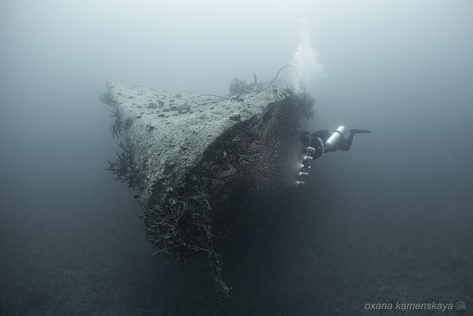 underwater wreck ship diver, Оксана Каменская