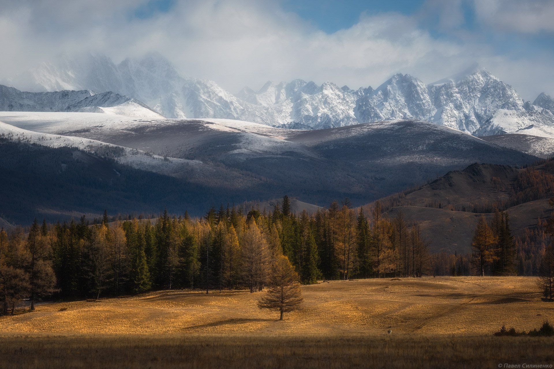 пейзаж, алтай, самаха, горы, степь, осень, вершины, Павел Силиненко