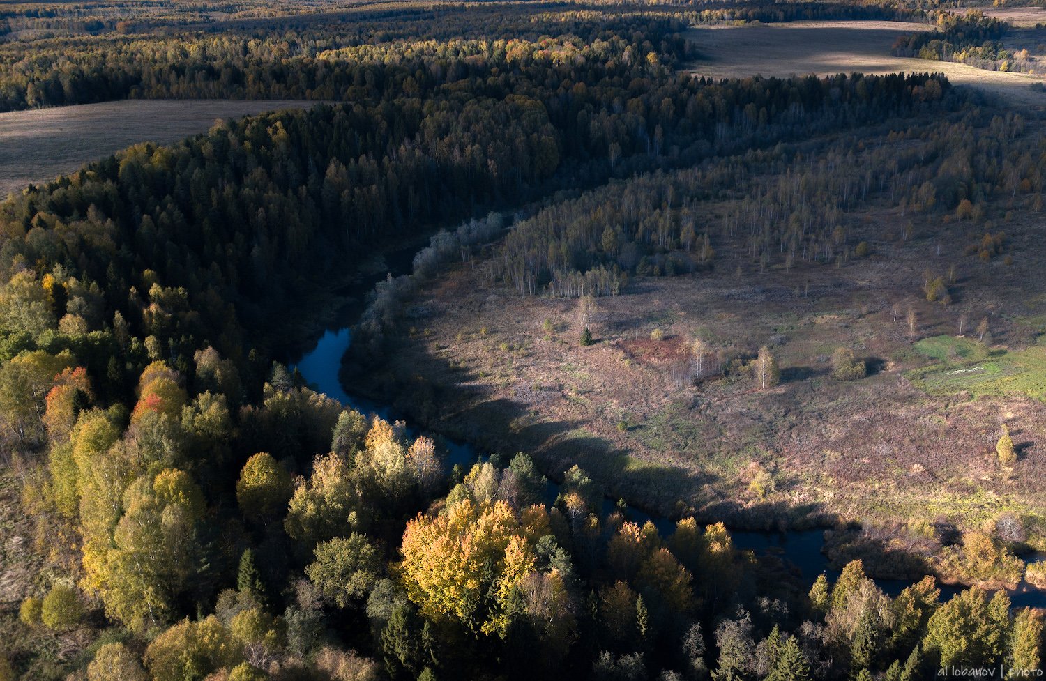 , Алексей Лобанов