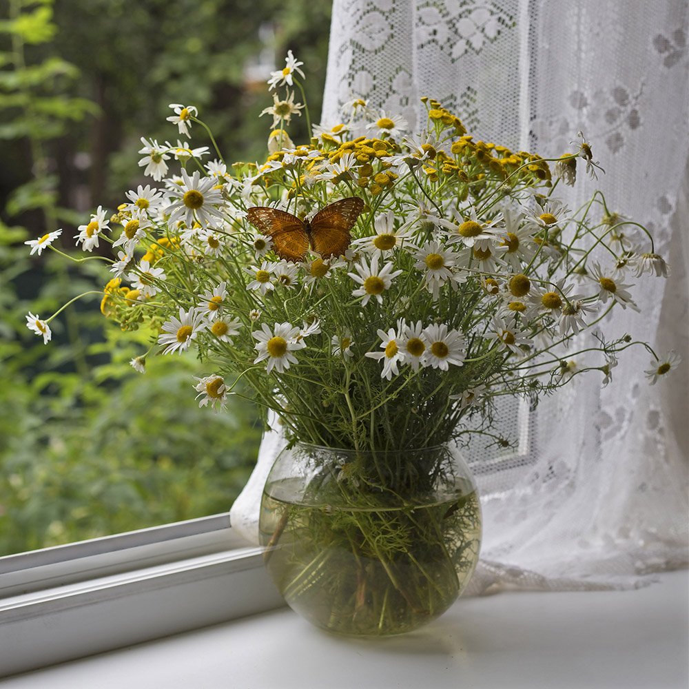 полевые цветы, окно, занавеска, Марина Кулакова