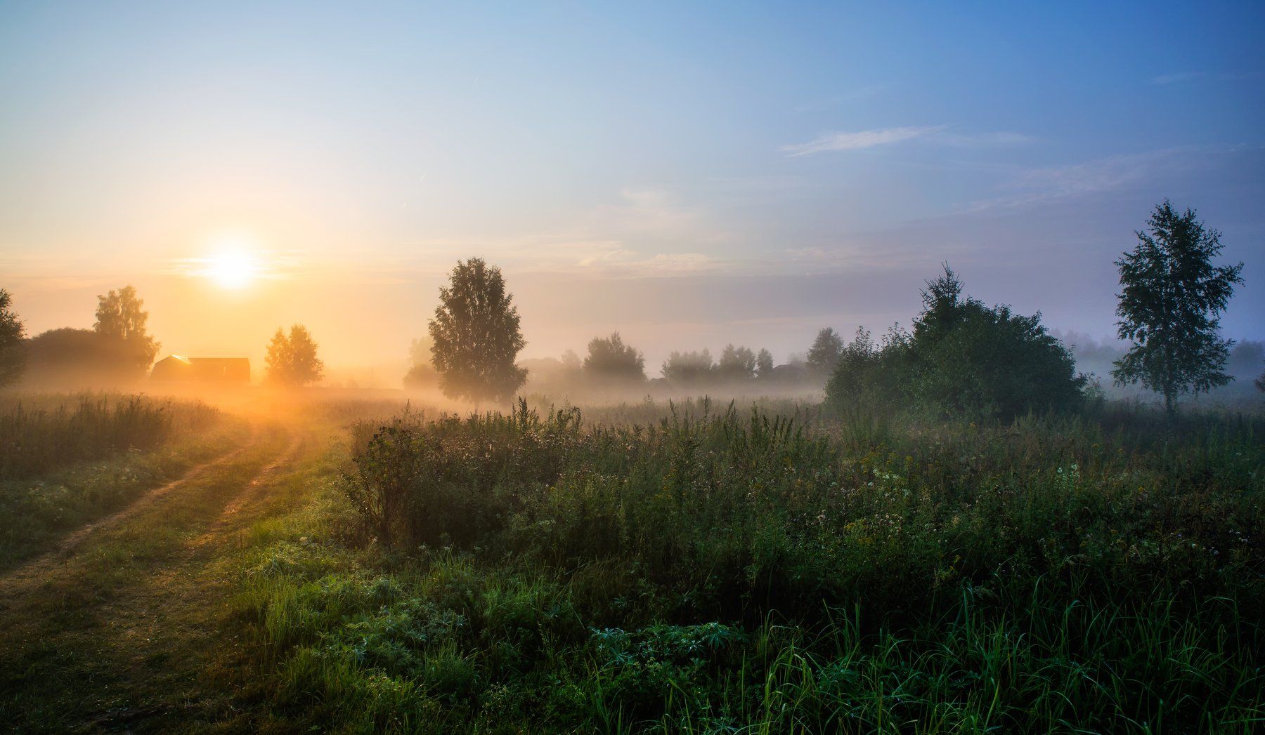 утро,рассвет,туман,деревня, Виталий Полуэктов