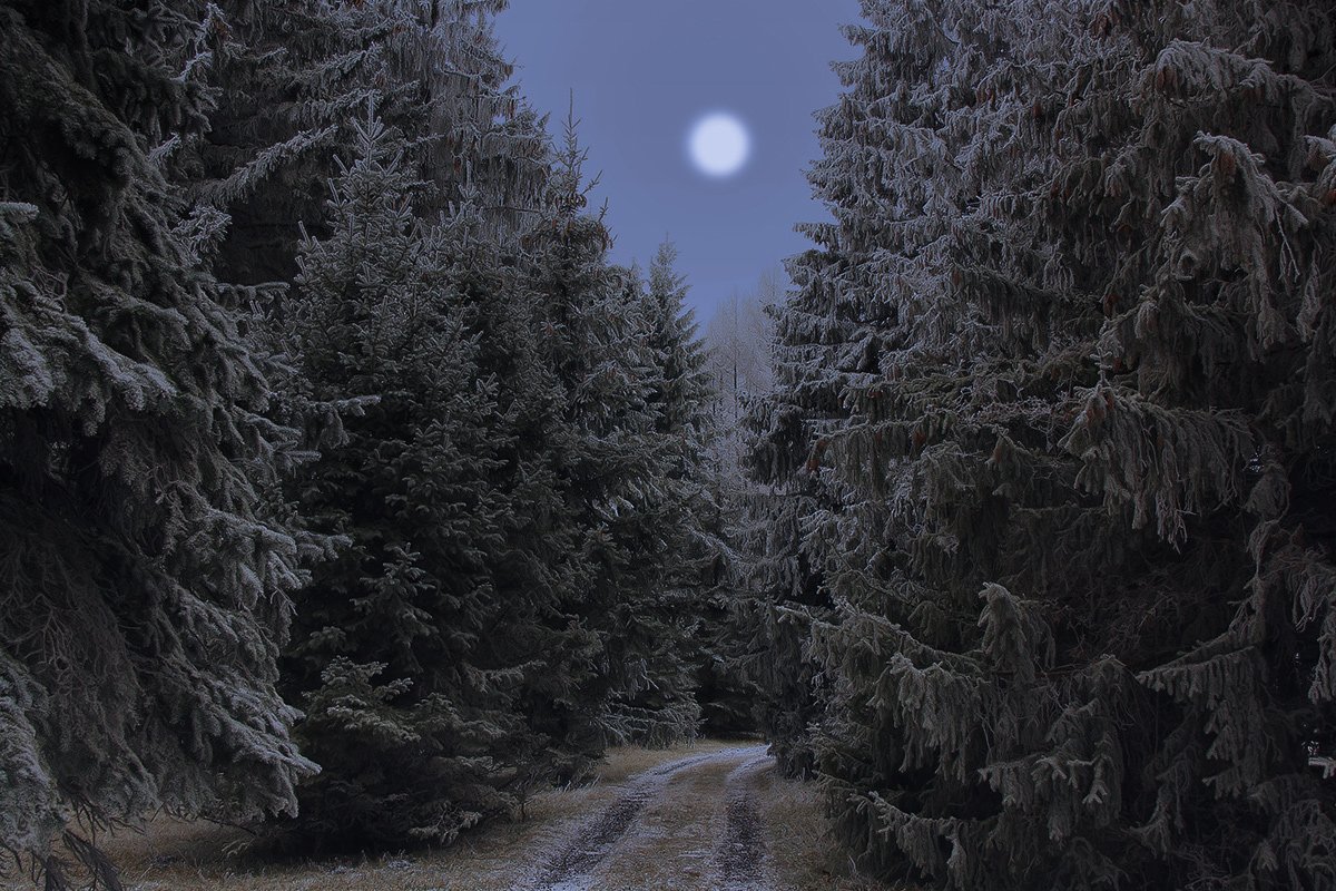 зима,природа,пейзаж, Михаил  Пилипенко