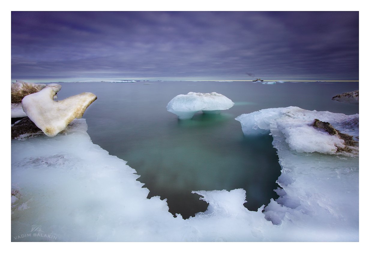 остров галля, земля франца-иосифа, северный ледовитый океан, Vadim Balakin