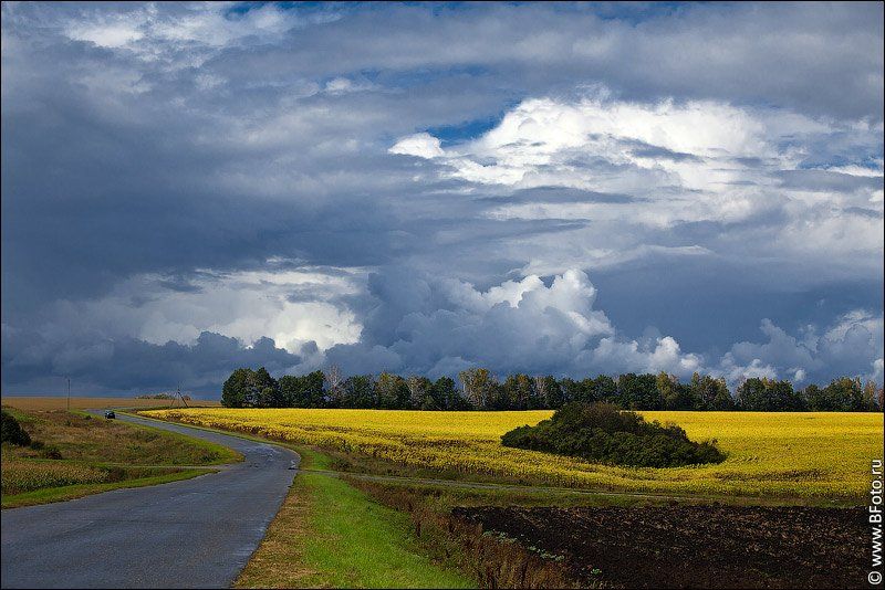 осень, пейзаж, фото, высокого, разрешения, Алексей Строганов