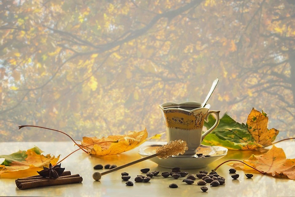 натюрморт, осень, настроение, осенние листья, кофе, напитки, Ирина Приходько