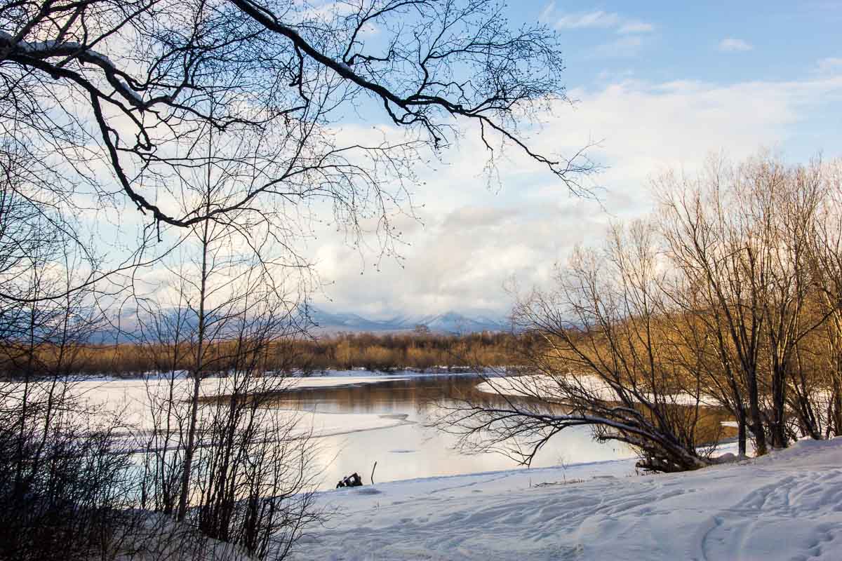 Камчатка, Козыревск, озеро, деревья, зима, Сергей Козинцев