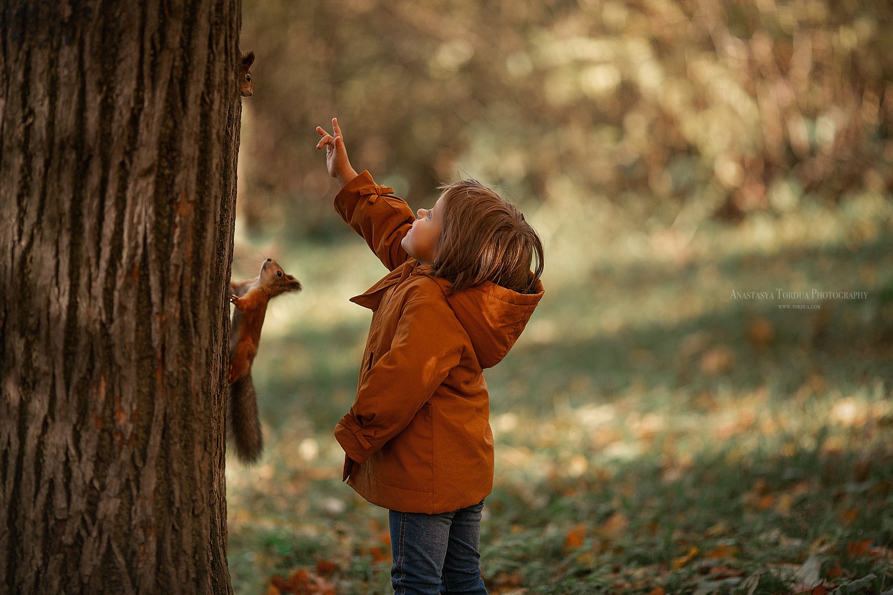 белки дети эмоции лес осень радость, Анастасия Тордуа