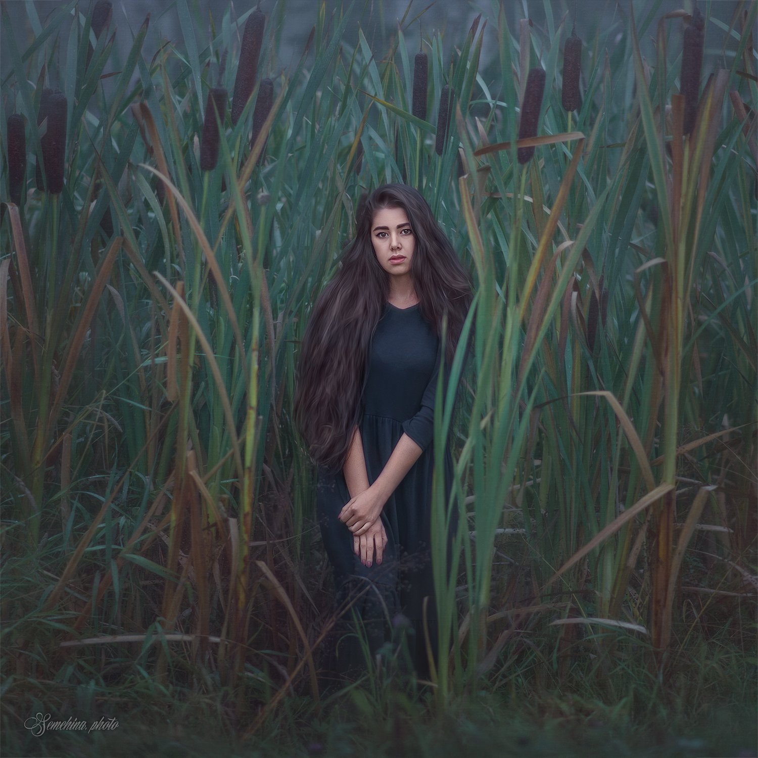 девушка, портрет, туман, утро, камыши, girl, portreit, fog, reeds, cane, Марина Семёхина