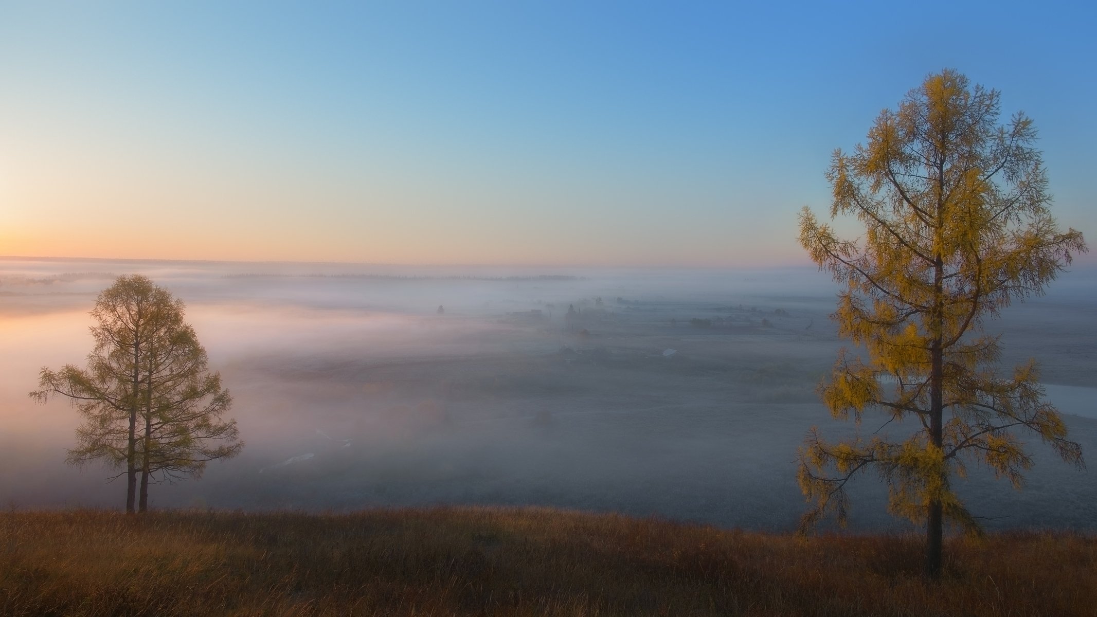 осень, туманное утро, золотые лиственницы, autumn, foggy morning, golden larches, Сергей Козлов