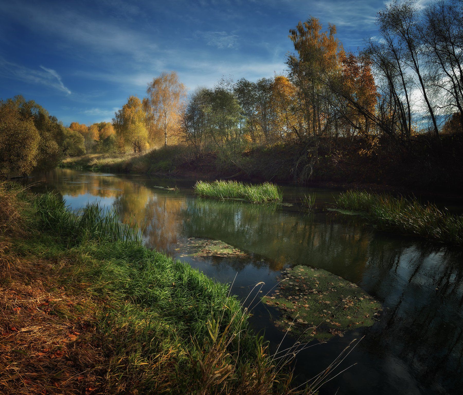 лес, природа, пейзаж, осень, река, вода, подмосковье, Алексей Никонов
