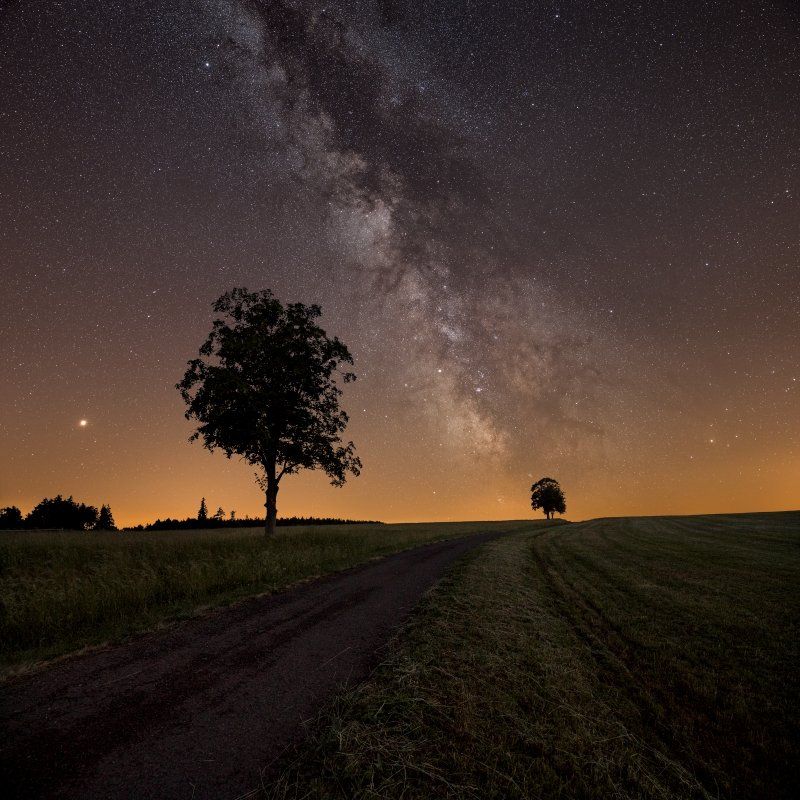 astro, galaxy, milkyway, tree, stars, nightscape, Jakub Müller