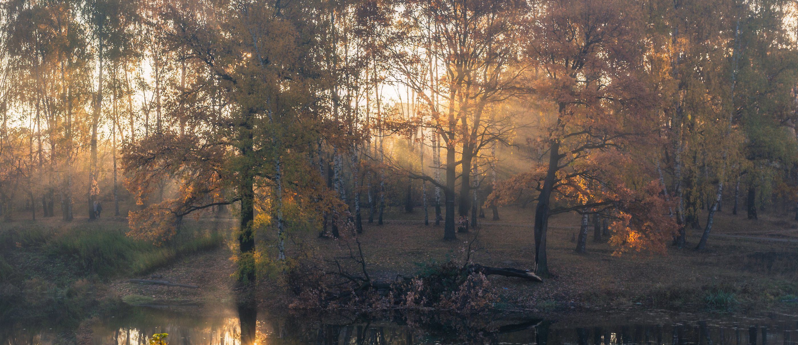 осень, туман, рассвет, пейзаж, landscape, fog, Мартыненко Дмитрий