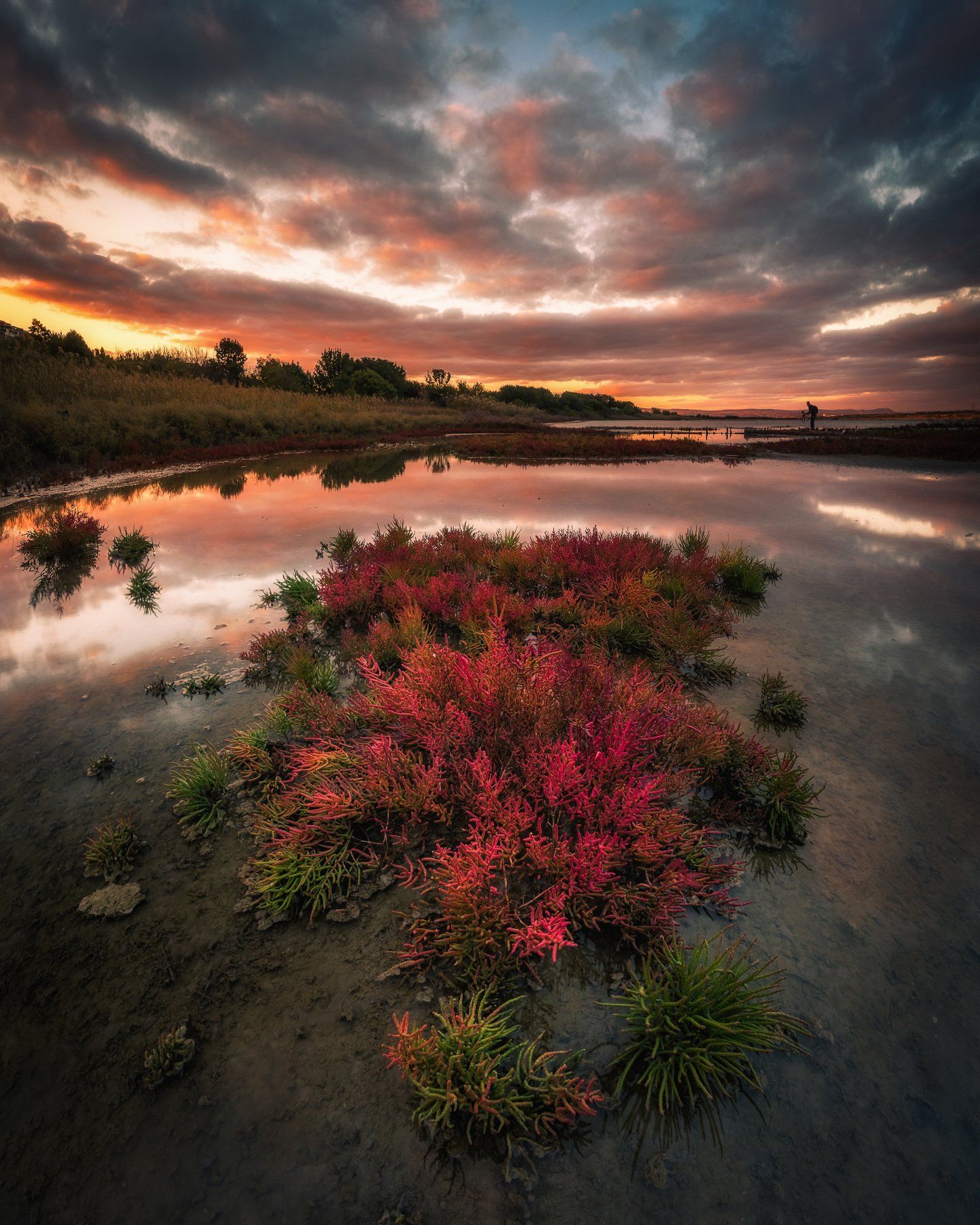 autumn, lake, water, landscape, fire, red, color, beautiful, Jeni Madjarova