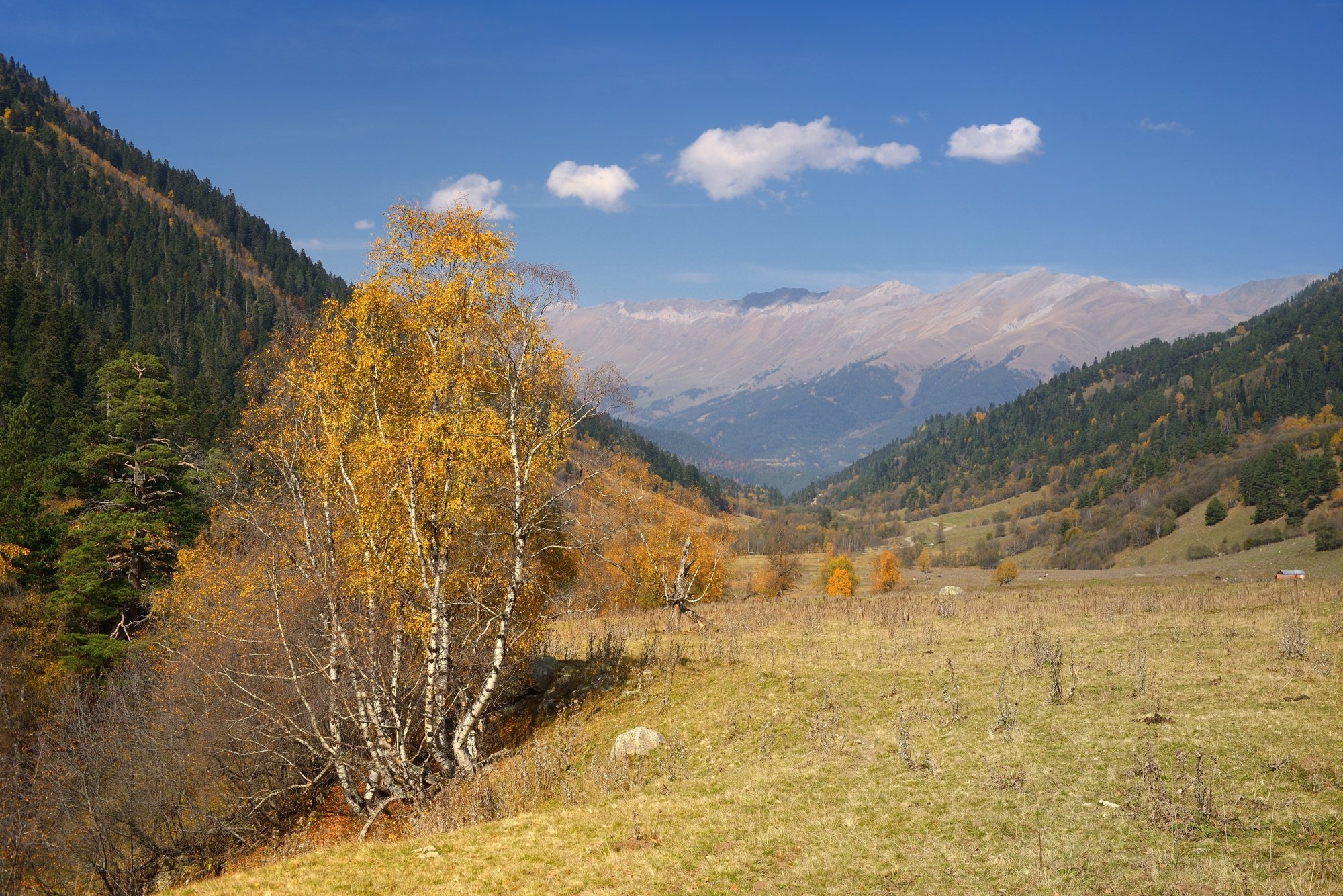 горы осень архыз, Александр Жарников
