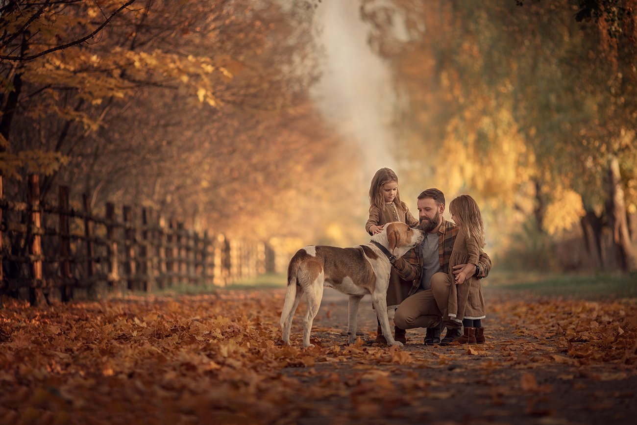 семья, дети, собака, осень, листва, Дарья Степанова