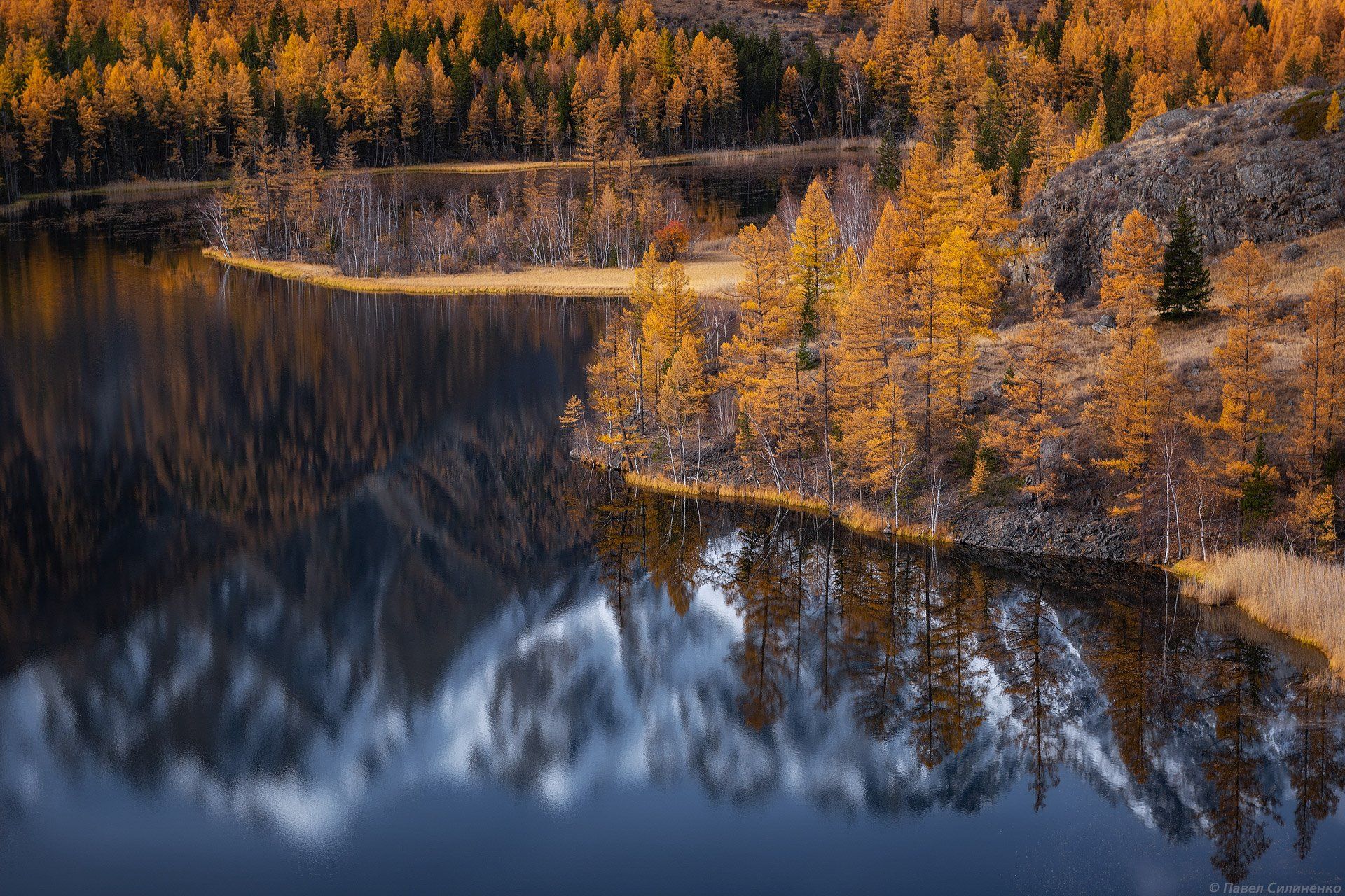 пейзаж, осень, лес, озеро, желтый, алтай, отражение, вода, Павел Силиненко