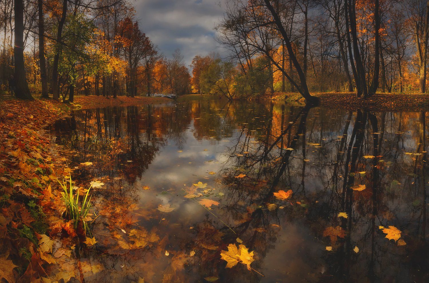 питер, пушкин, царское, царское село, александровский парк, landscape, tsarskoyeselo, autumn, городской пейзаж, санкт-петербург, Таня SHE (Aiya)