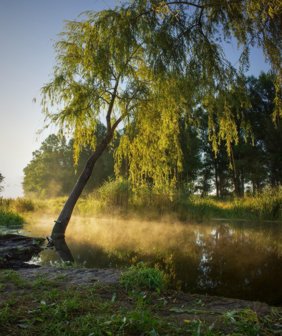 рассвет, утро, туман, дерево, река, Виктор Тулбанов