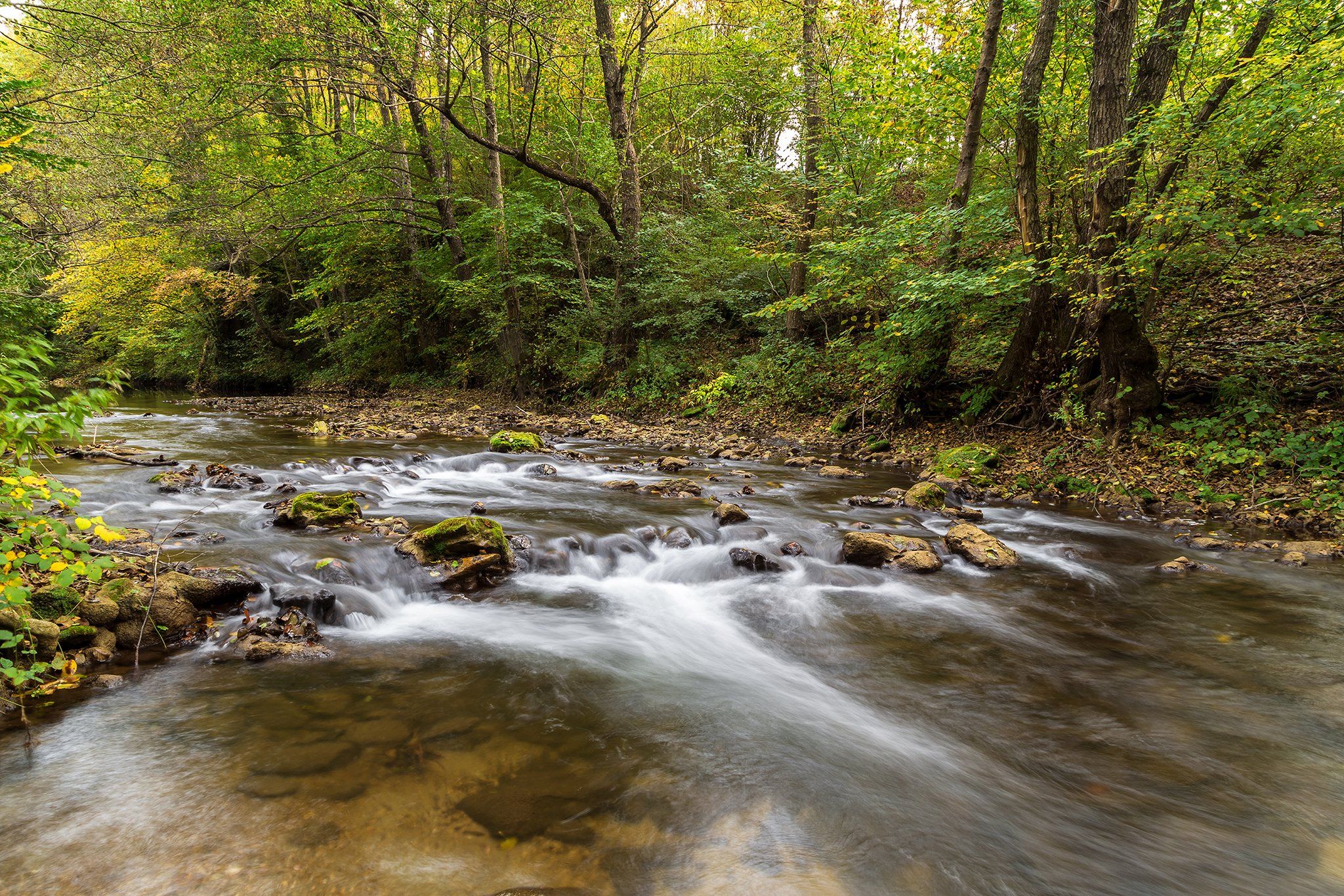 river, bulgaria, strandja, forest, trees, mountain, Nikola Spasov