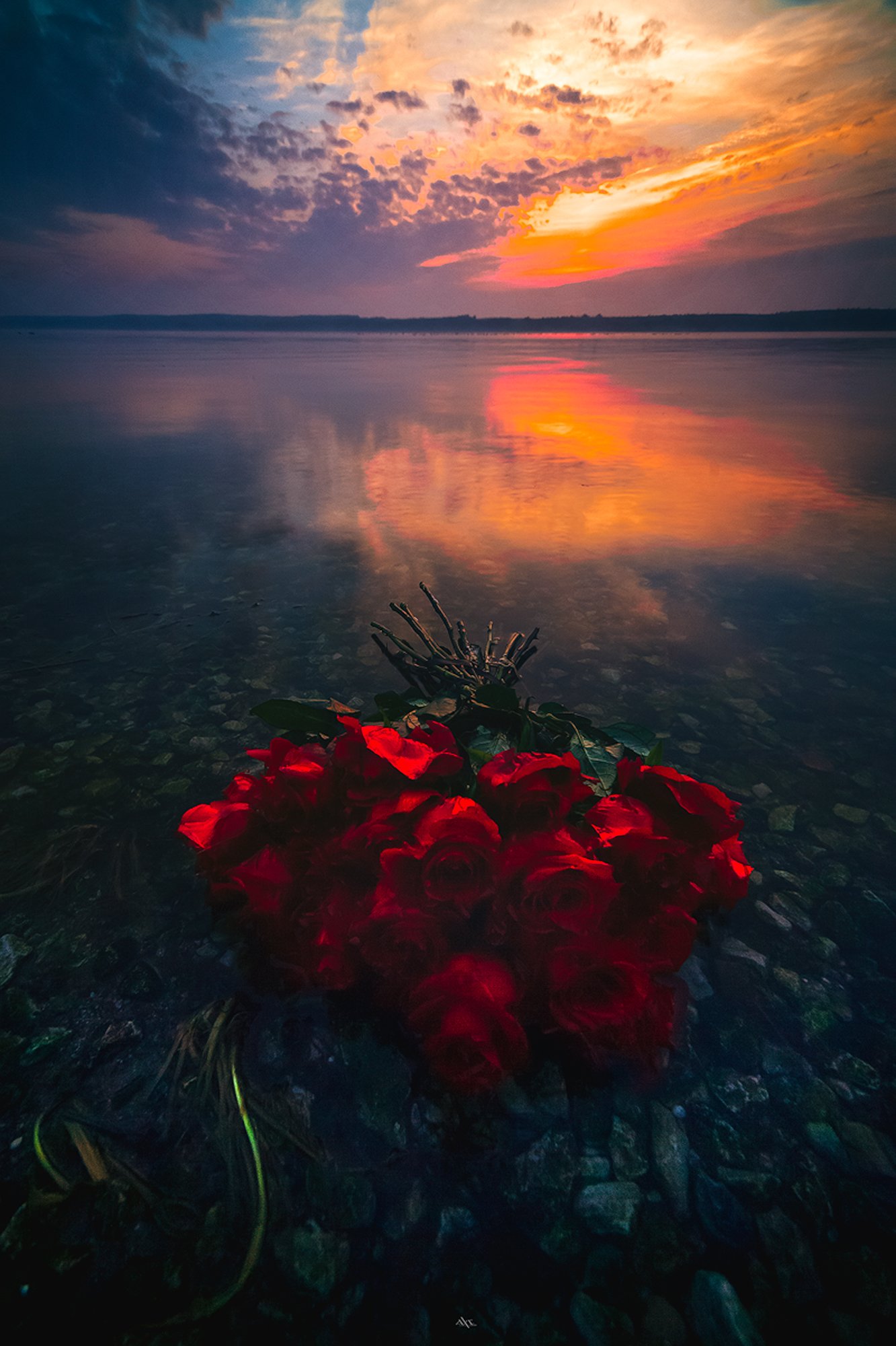 landscape, sunset, curonian lagoon, lithuania, colors, reflection, roses, Руслан Болгов (Axe)