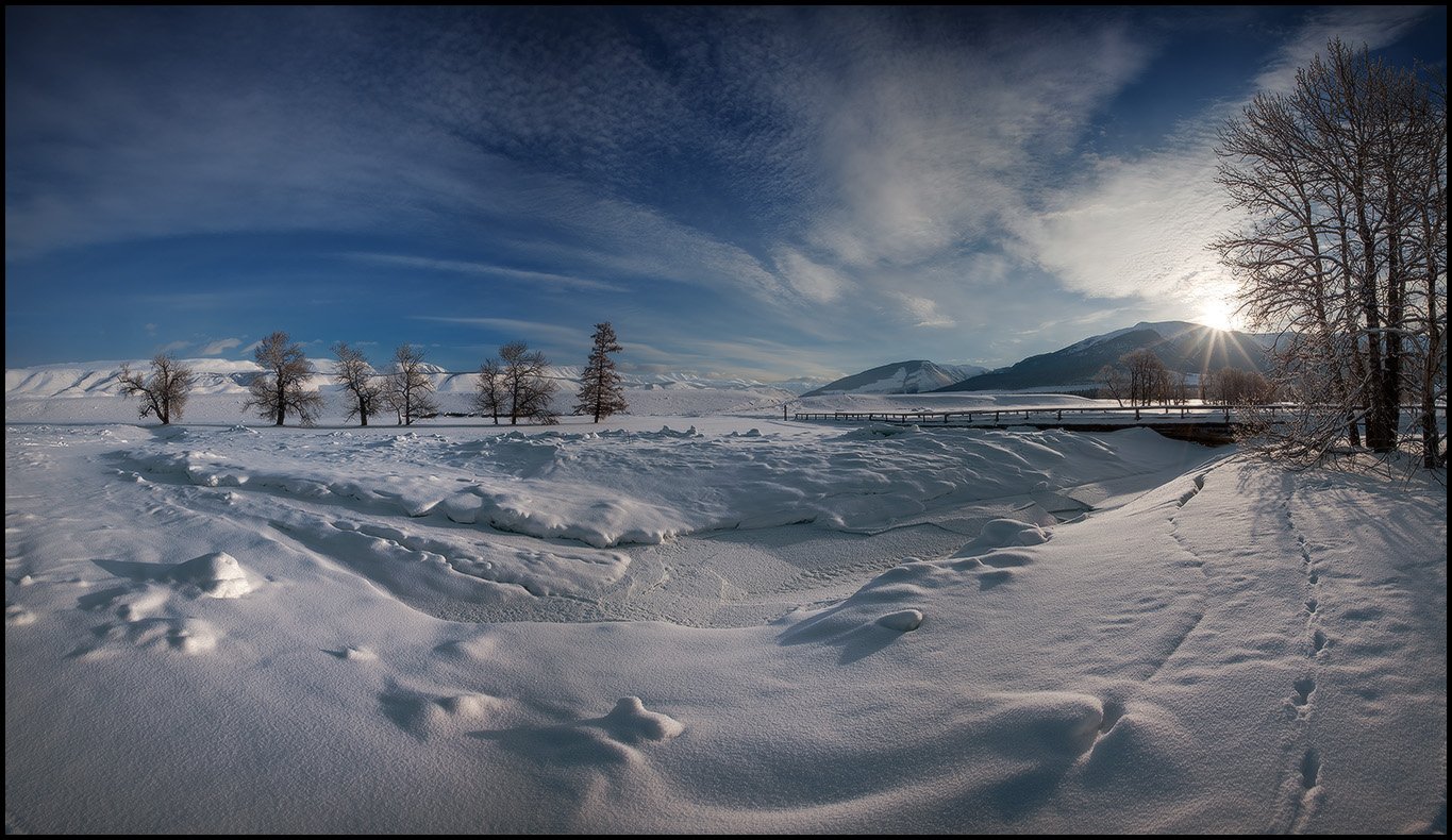 алтай, курайская степь, зима, утро, снег, чуя, Виталий из Н-ска