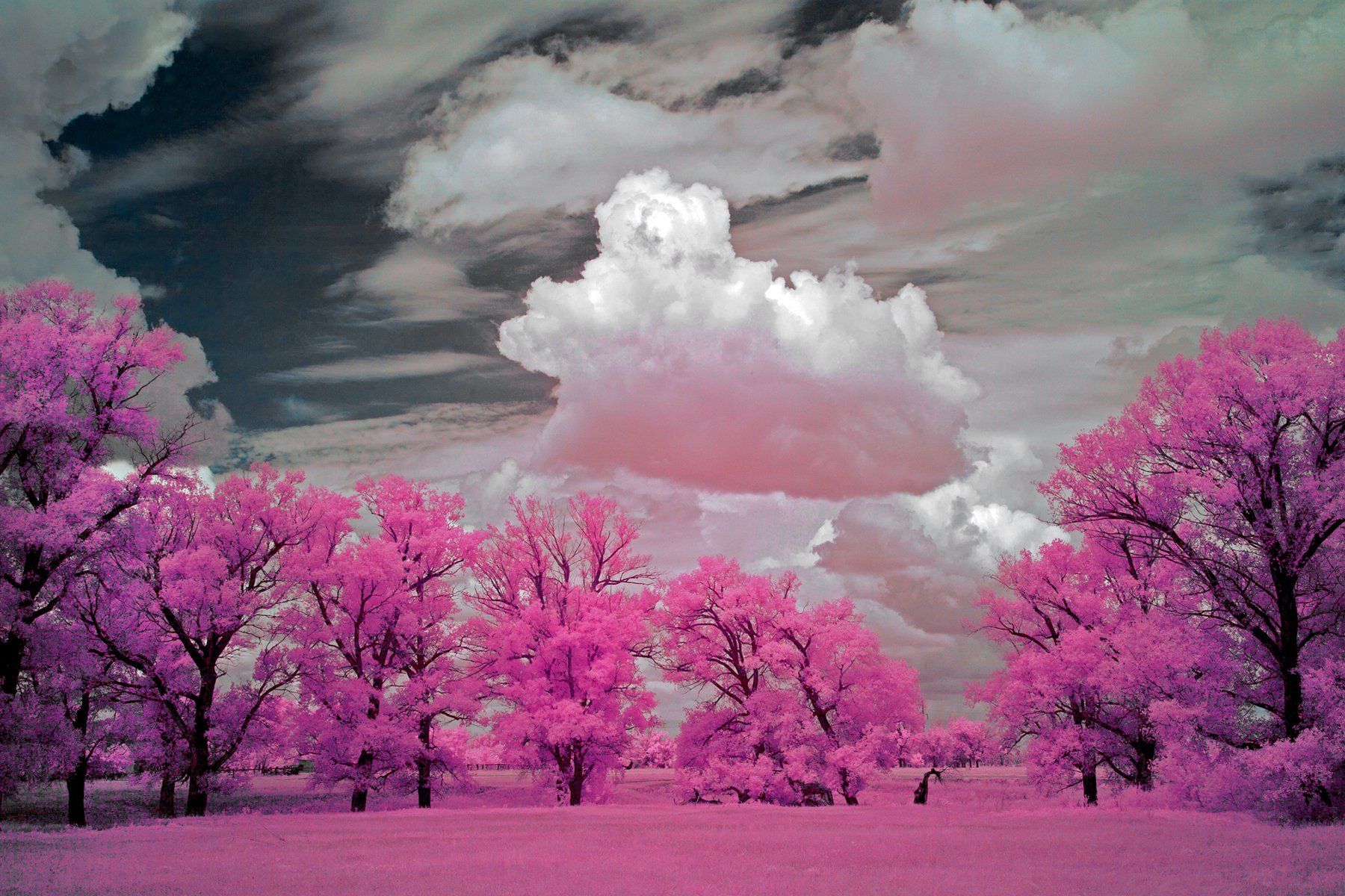 infrared, southural, orenburgregion, олег_грачёв, oleg_grachev,, Олег Грачёв