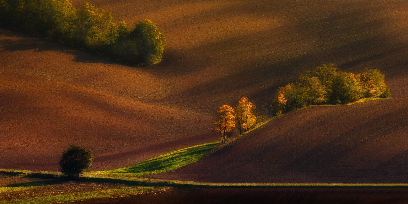 hills, autumn,colours,trees,sunset, Marek Biegalski