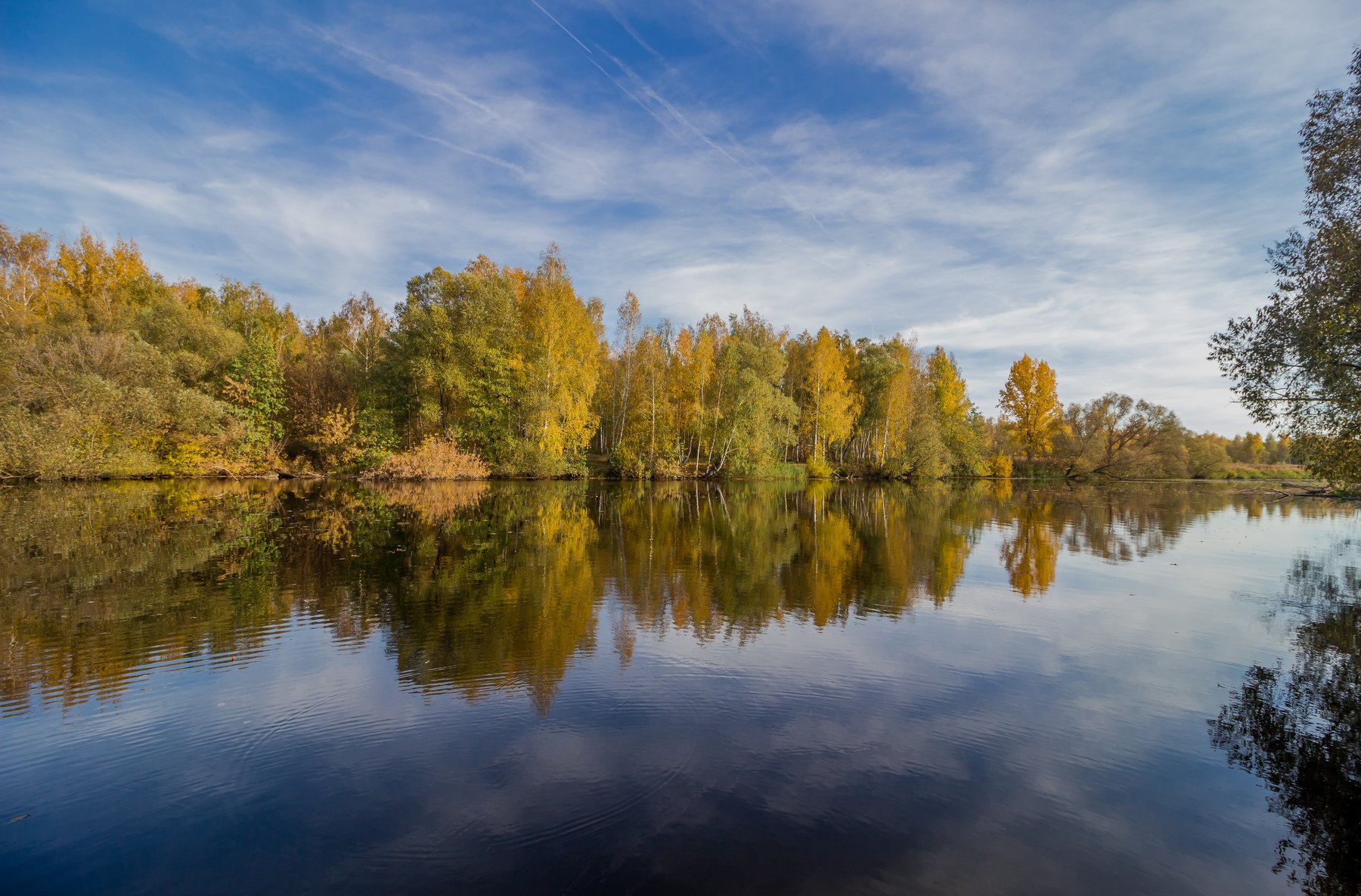река усмань, осень, лес, Руслан Востриков
