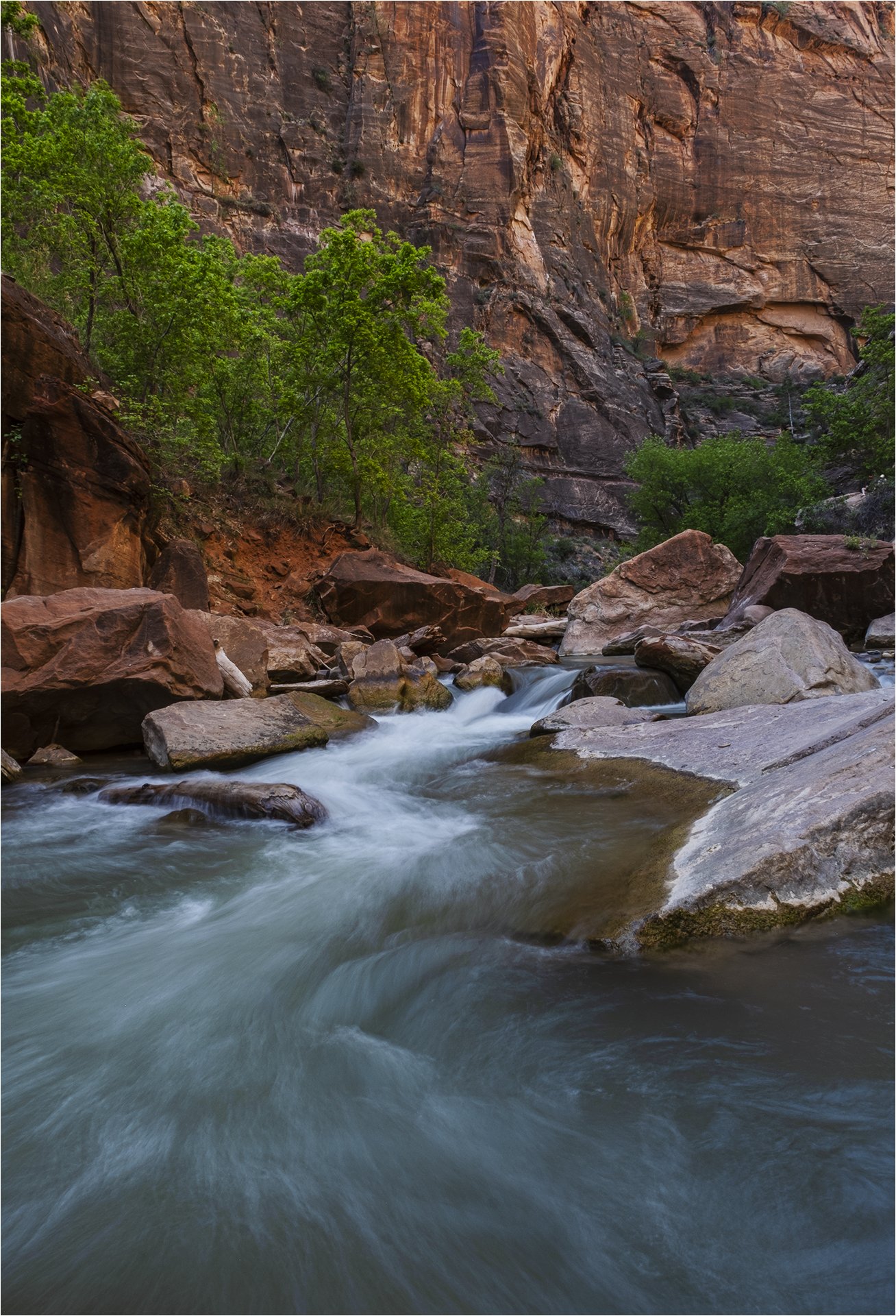 usa, utah, zion, narrows, сша, юта, зион, Владимир Эделев