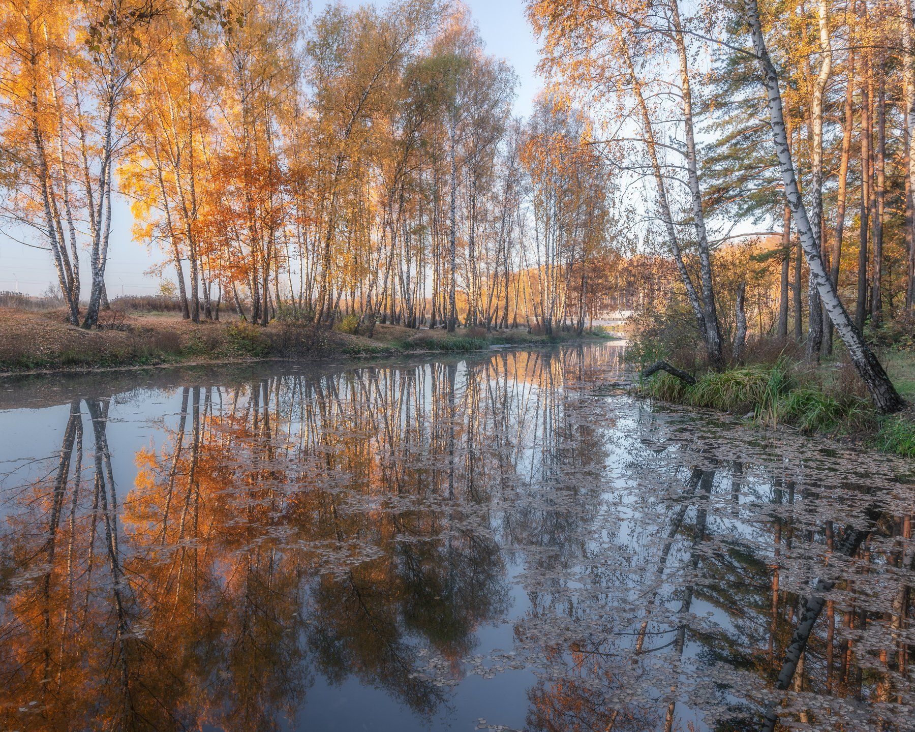 природа, пейзаж, landscape, осень, золотая осень, Мартыненко Дмитрий