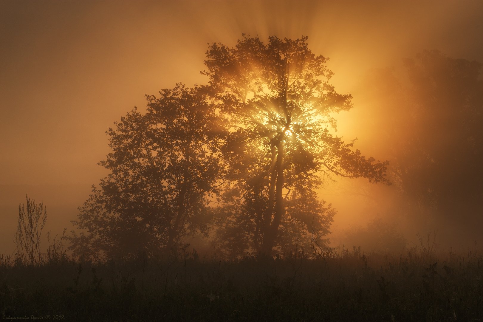 2018, россия, калужская область, весна, май, утро, туман, деревья, лучи, солнце, Денис Лукьяненко