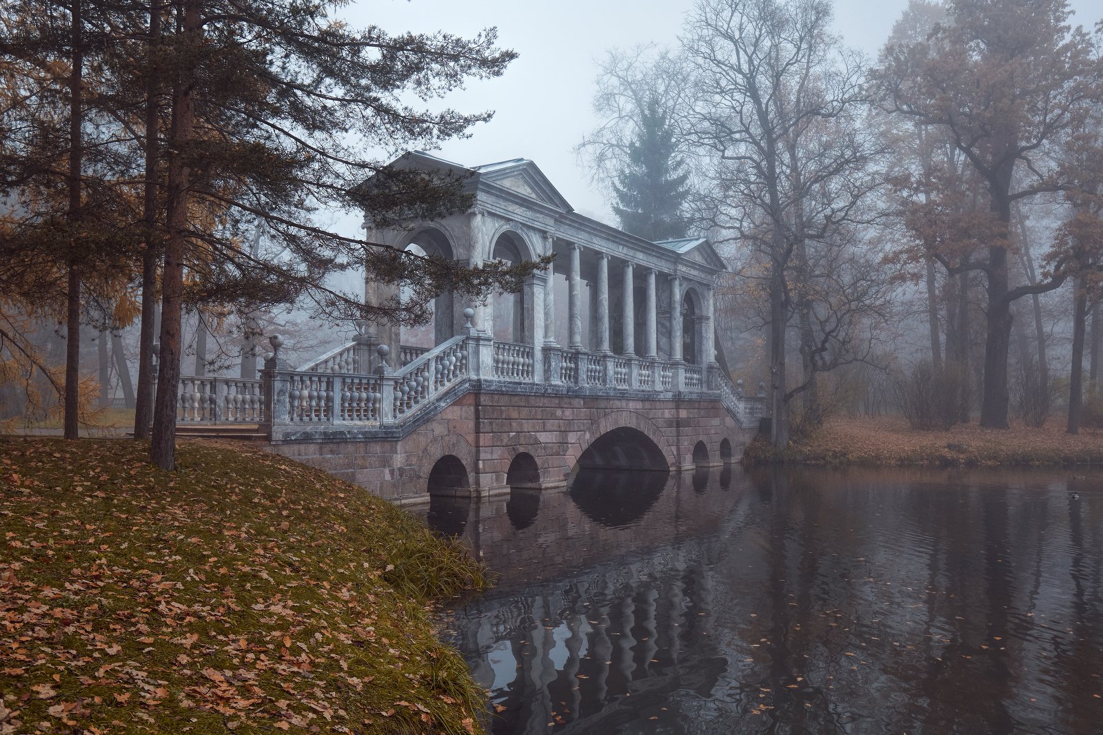 пушкин, царское село, туман, утро, октябрь, осень, листопад, мост, KrubeK
