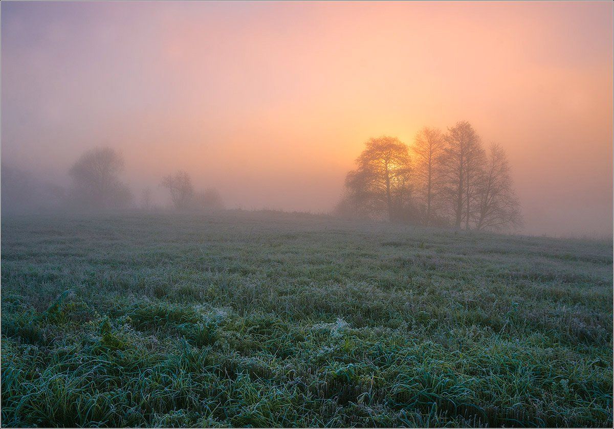 утро, рассвет, осень, туман, беларусь, Andrew Kuzmin