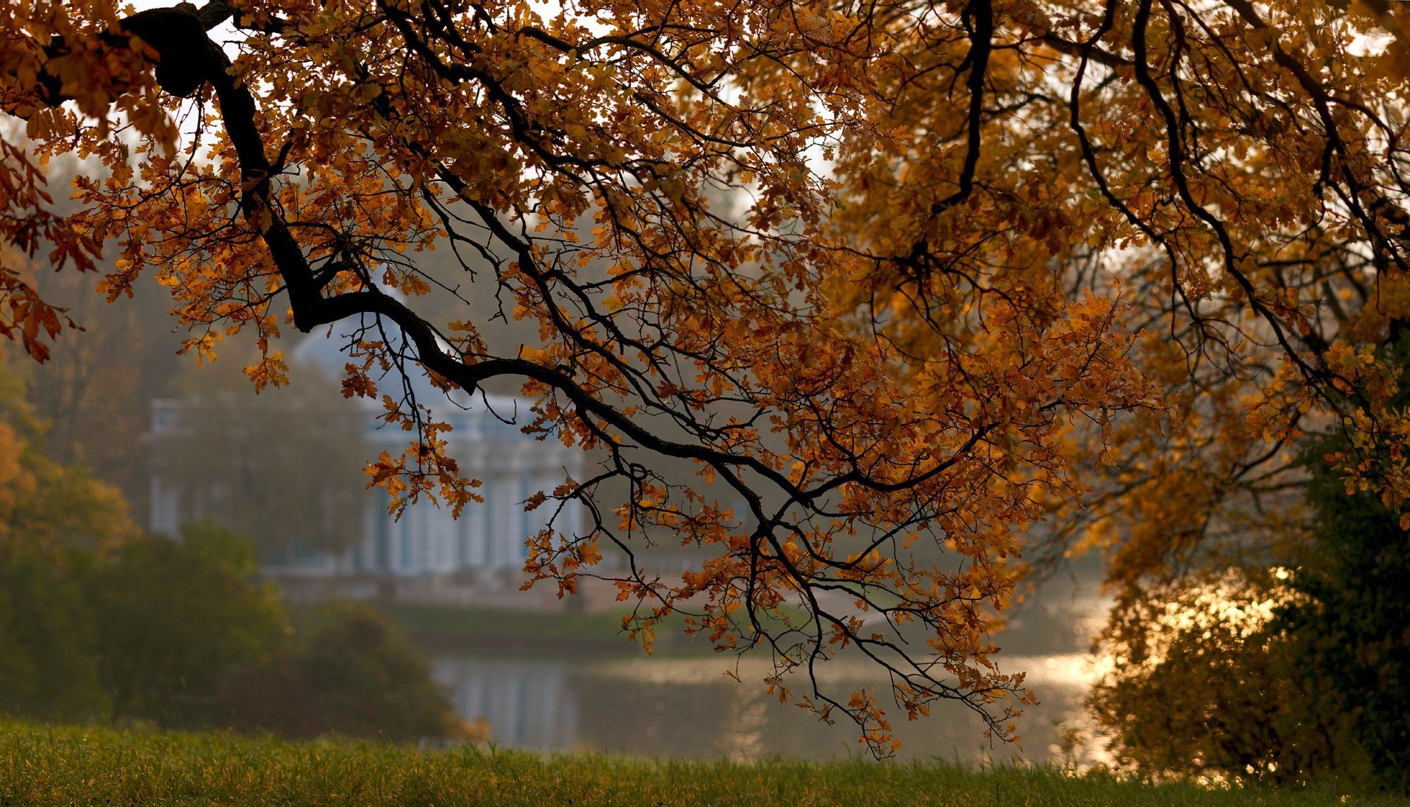 пушкин, царское, царское село, екатерининский парк, landscape, tsarskoyeselo, autumn,  городской пейзаж, санкт-петербург, Таня SHE (Aiya)