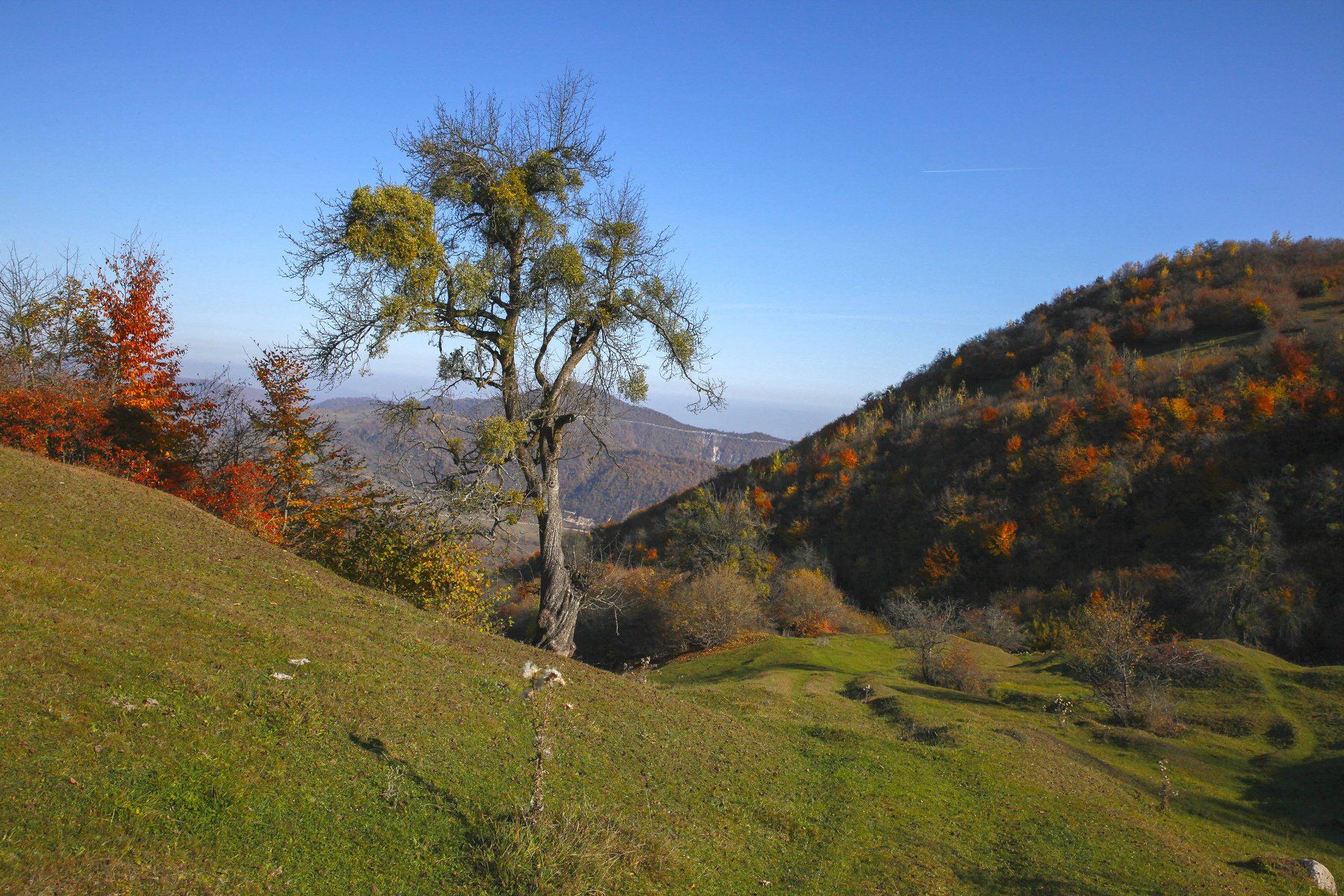 горы,осень,природа,дагестан., Marat Magov