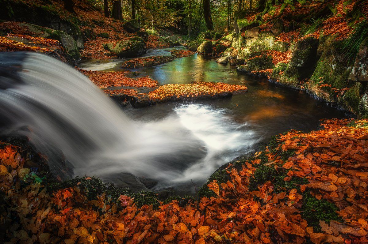 autumn,ireland,wicklow,colours,landscapes,, Marek Biegalski