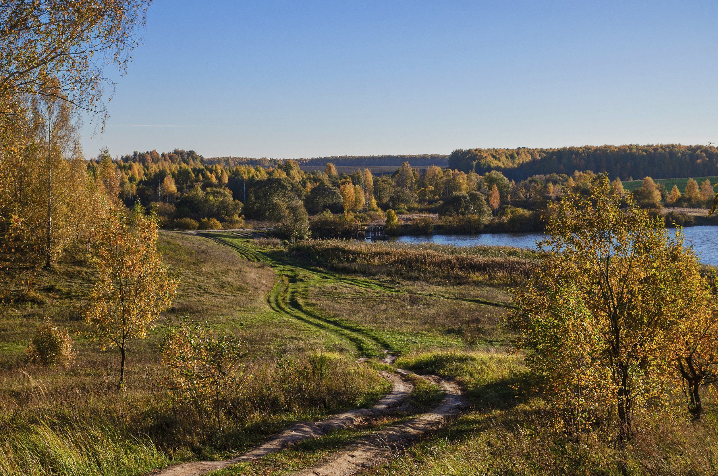 nevant60, пейзаж, красота, лес, осень, Александр Березуцкий