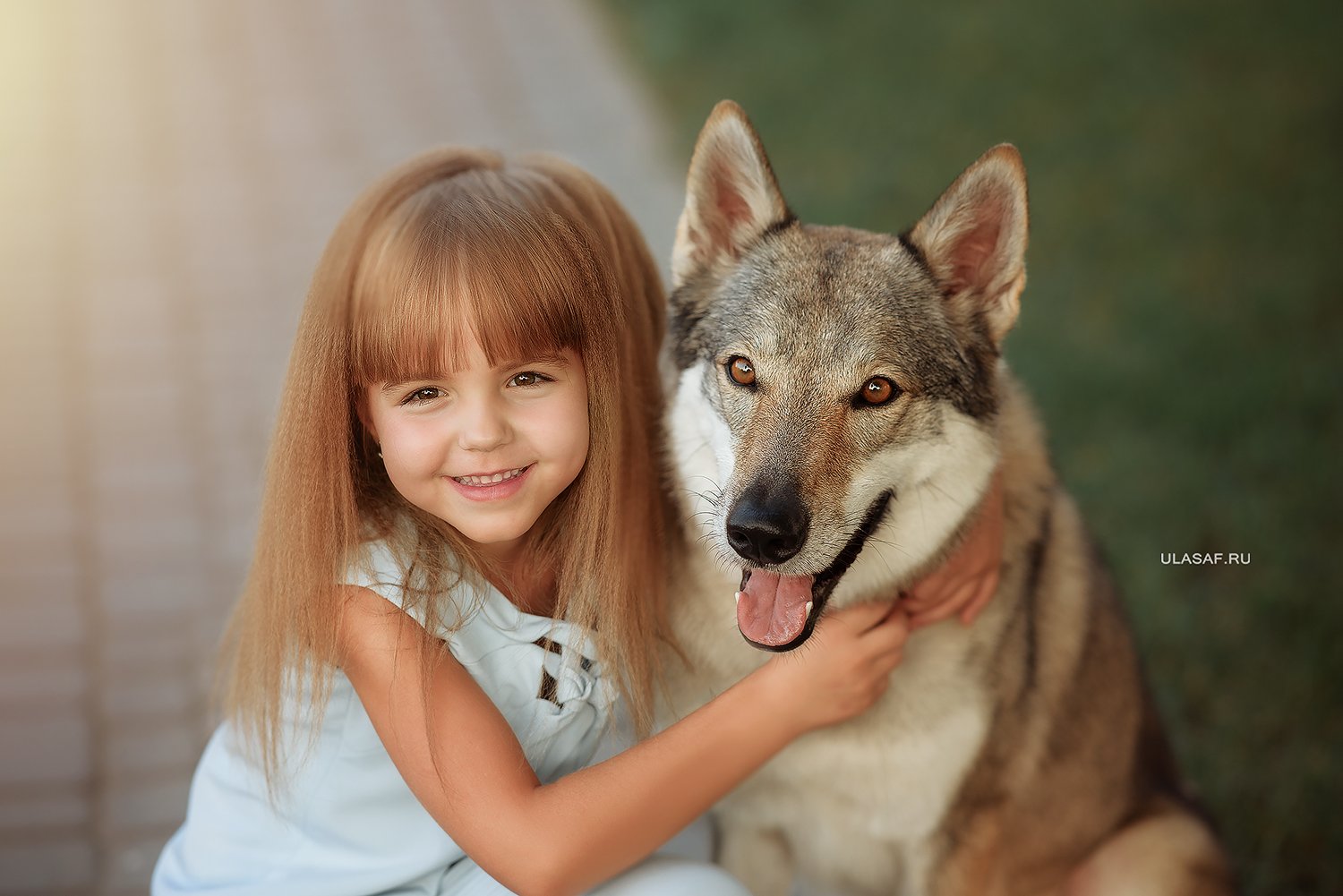 портрет, лето, девочка, girl, summer, волк, закат, вечер, животные, собака, dog, wolf, друзья, солнышко, лучи, happy, happiness, сказка, волшебство, Юлия Сафонова