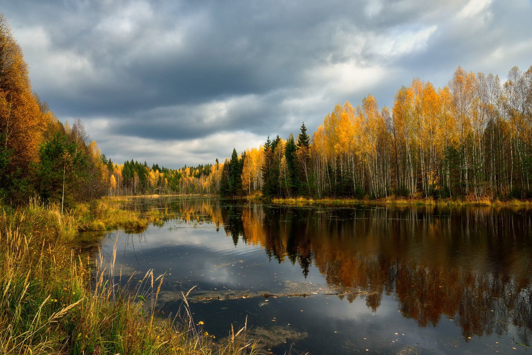 осень,река,лес,небо,облака, Виталий Полуэктов