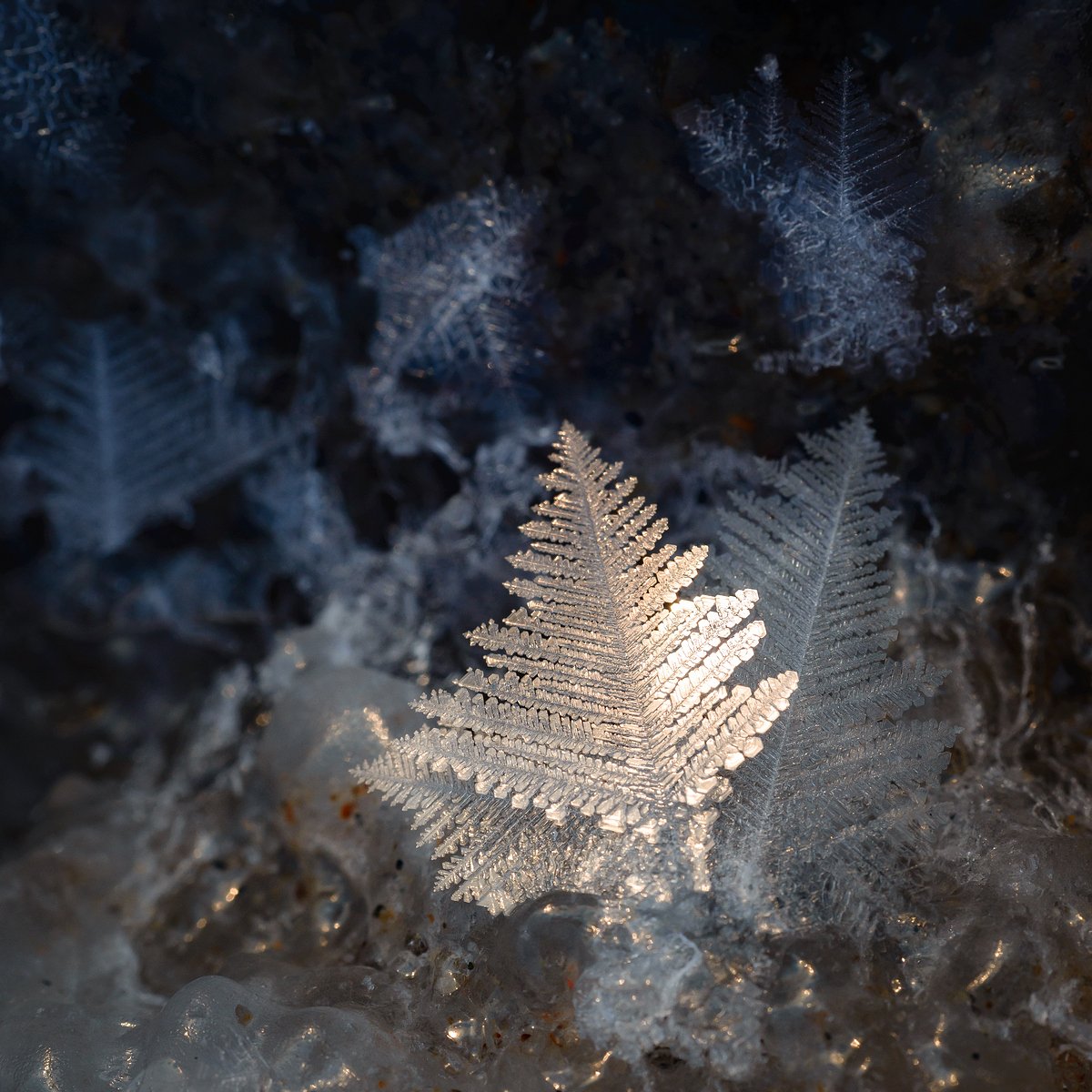 зима, море, кристаллы, снежинки, Екатерина (PhotoJourneys.ru) Васягина